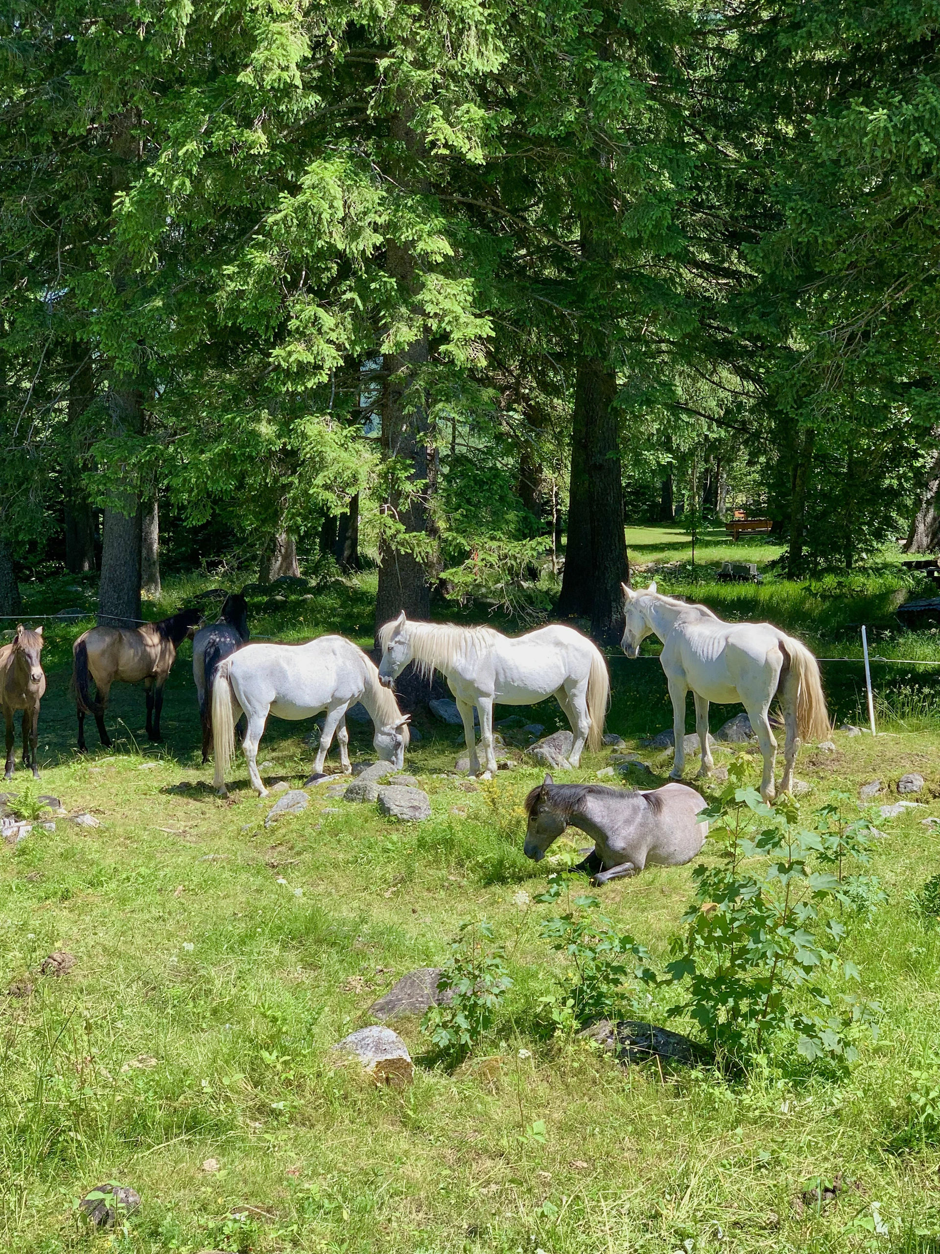 woman wearing yellow long-sleeved dress under white clouds and blue sky during daytime