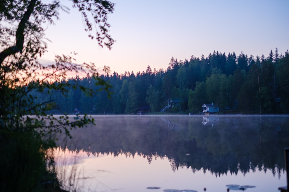 a body of water surrounded by a forest