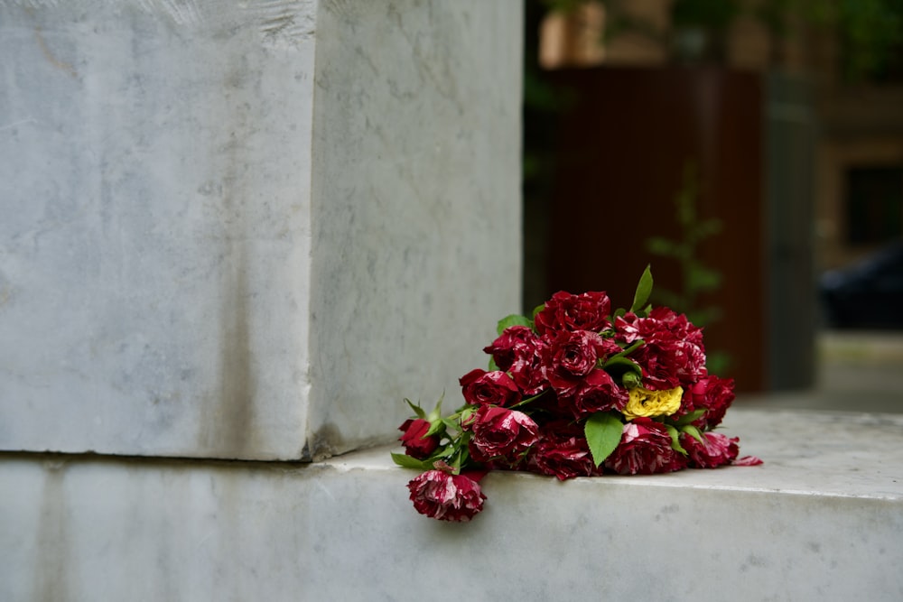 a bunch of flowers that are on the side of a building