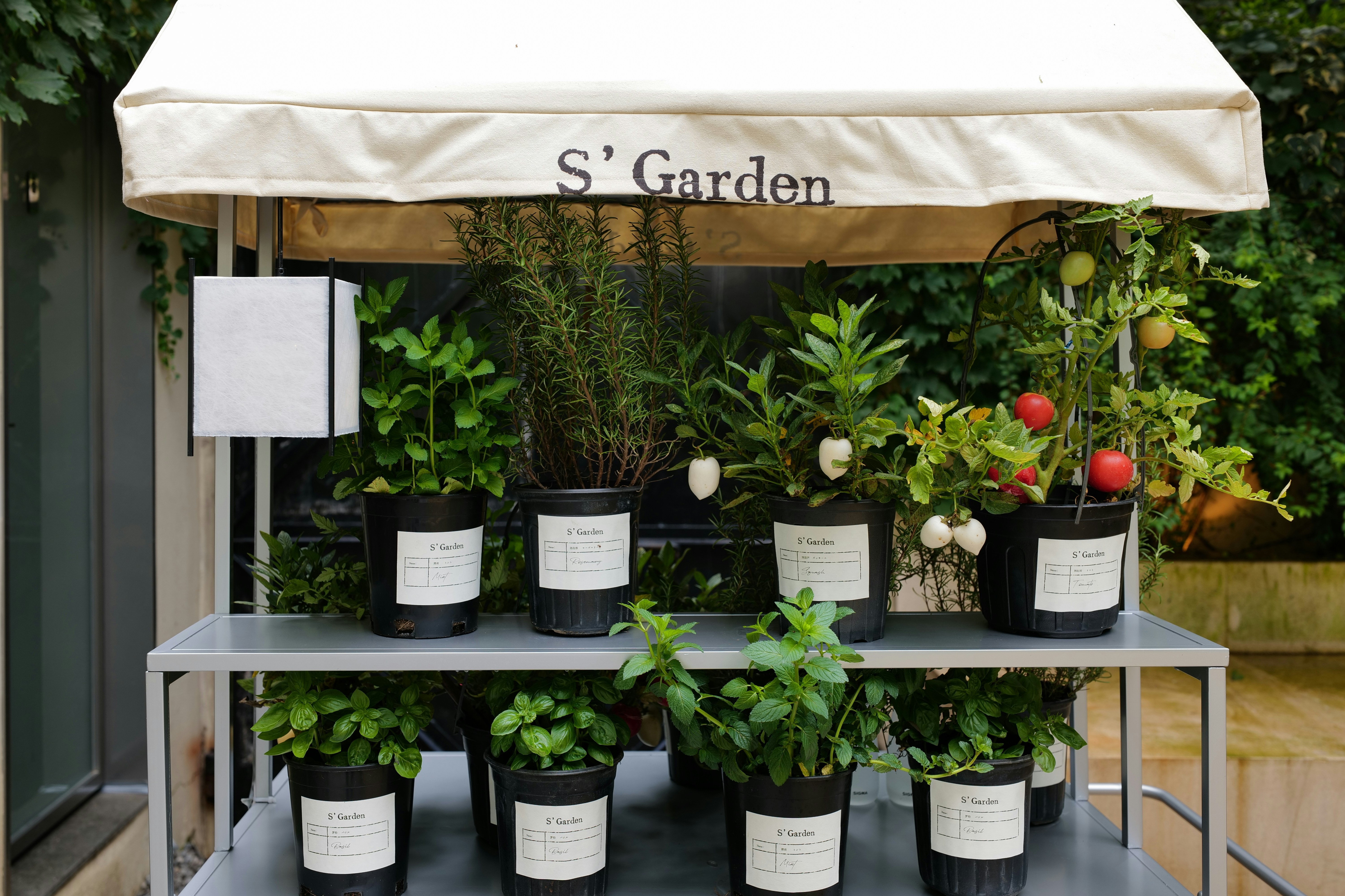 garden workspace
