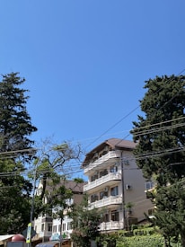 A multi-story residential building with balconies is surrounded by tall, leafy trees. The sky is clear and blue, and power lines crisscross the upper part of the scene. Some signage is visible near the base of the building, indicating a commercial area at street level.