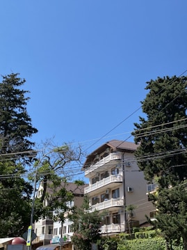 A multi-story residential building with balconies is surrounded by tall, leafy trees. The sky is clear and blue, and power lines crisscross the upper part of the scene. Some signage is visible near the base of the building, indicating a commercial area at street level.