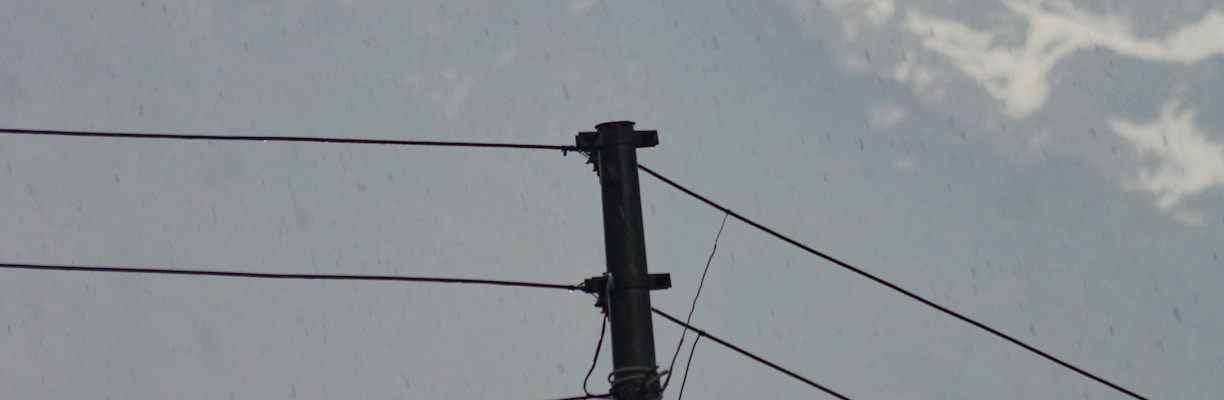 a bird sitting on top of a power pole