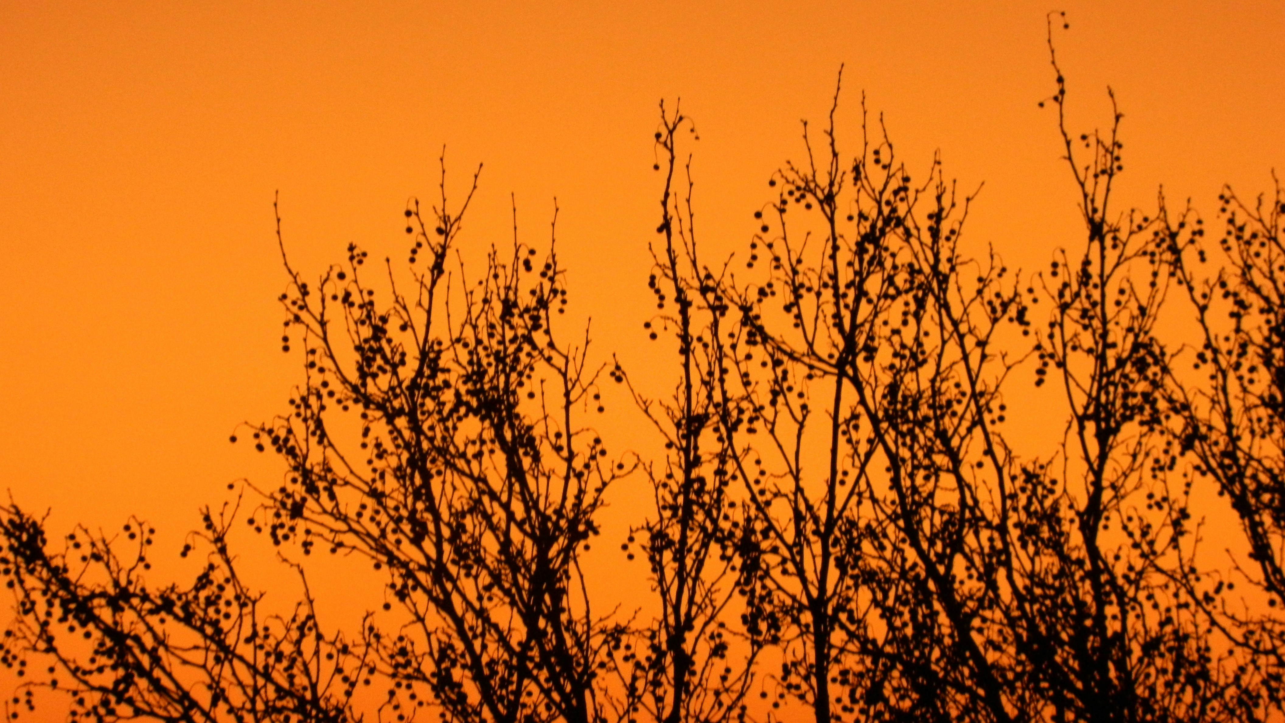 Photo by annatanxuan