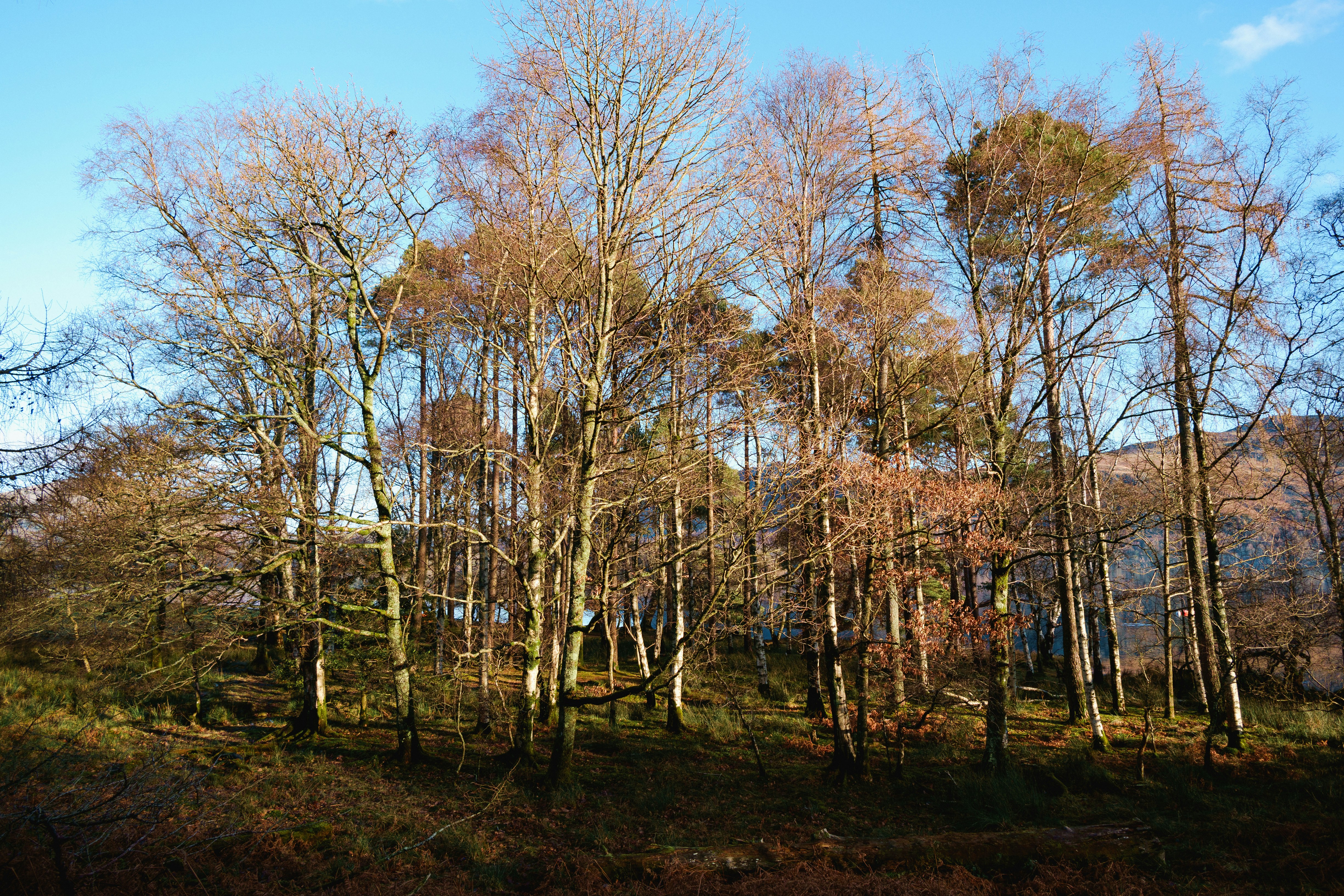 Photo by frostroomhead