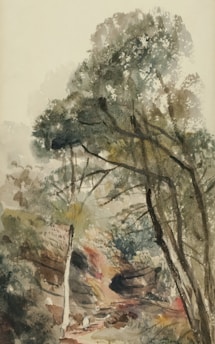 A watercolor painting depicting a lush forest scene with tall trees and dense foliage. The scene is tranquil, with soft brushstrokes creating a hazy, dreamlike quality. The painting uses muted colors to convey a sense of calm and natural beauty.