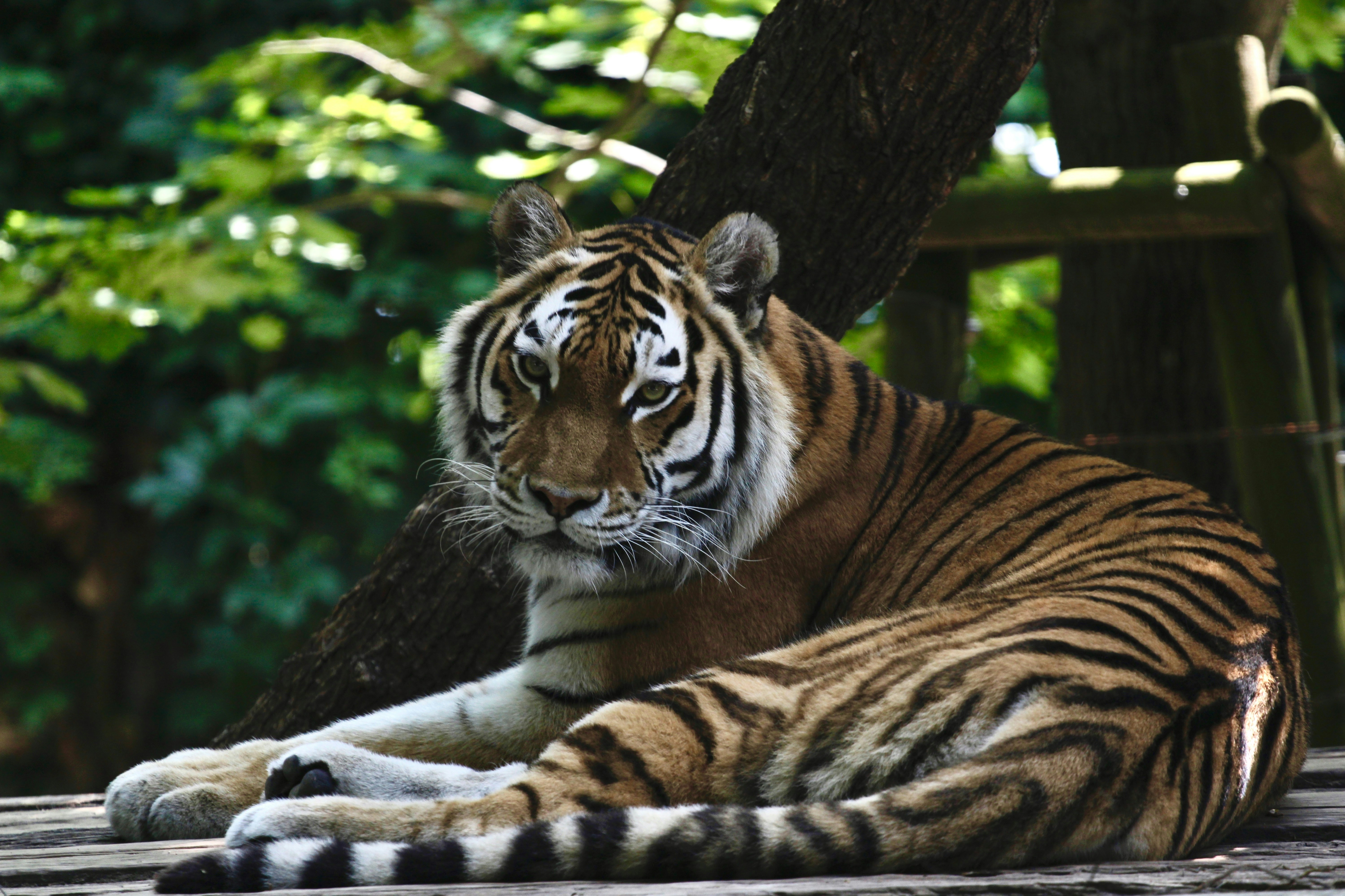 Photo by albertdavid6