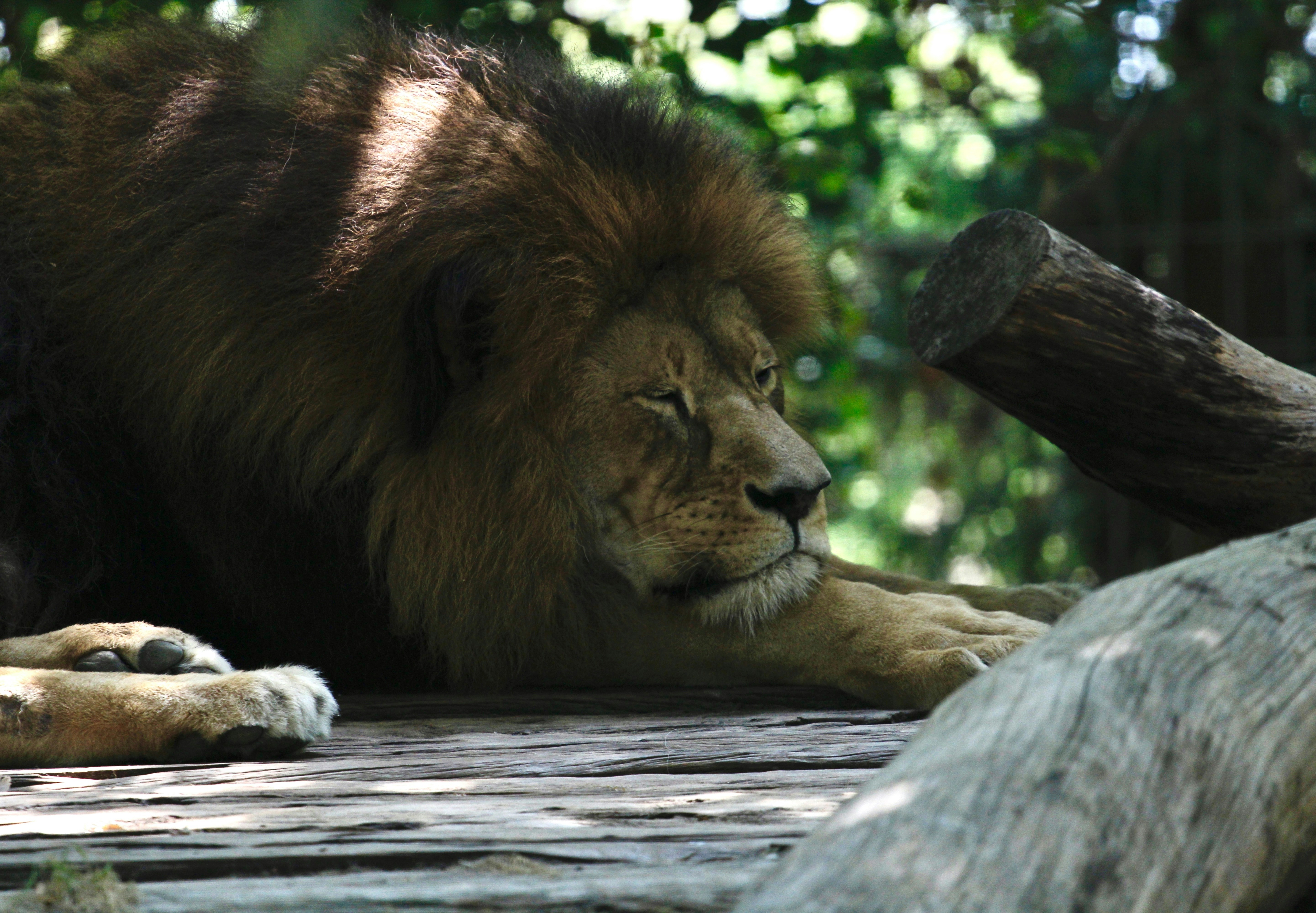 Photo by albertdavid6