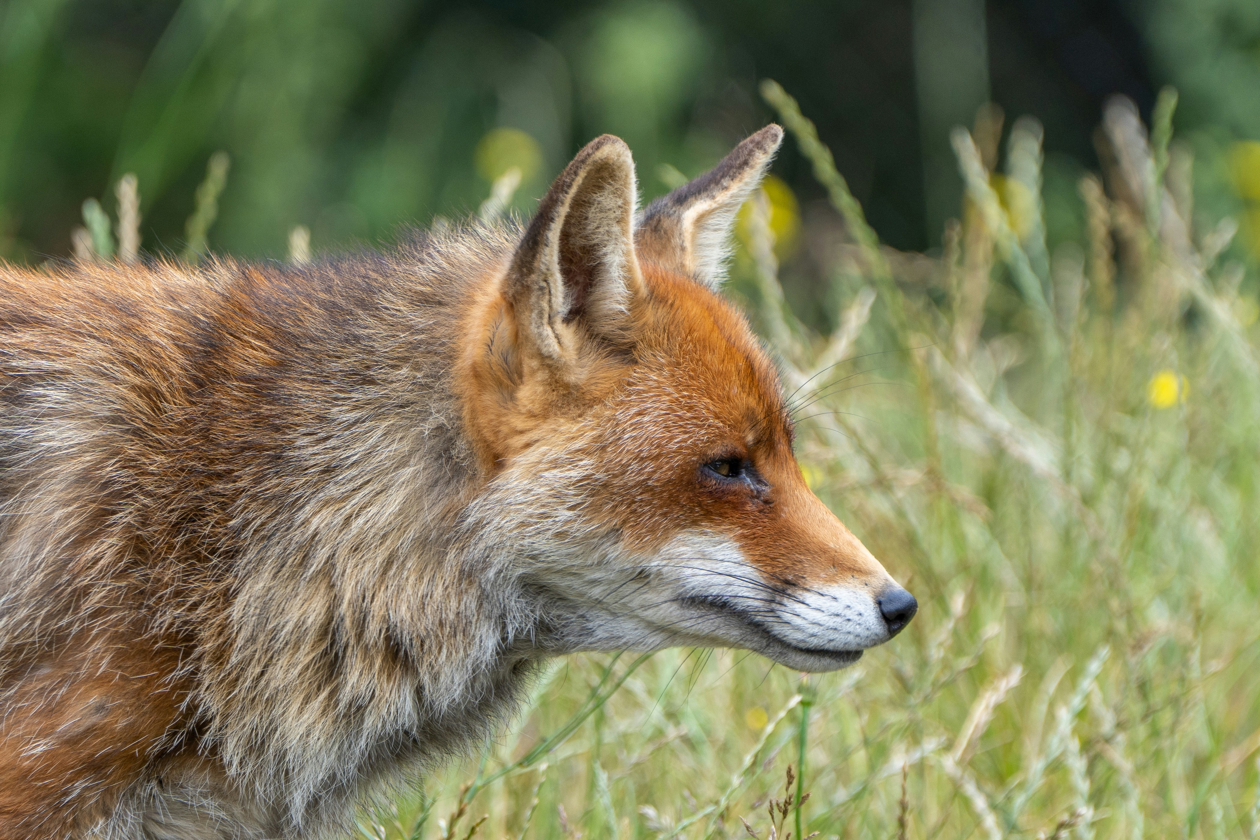 Photo by ronan_hello