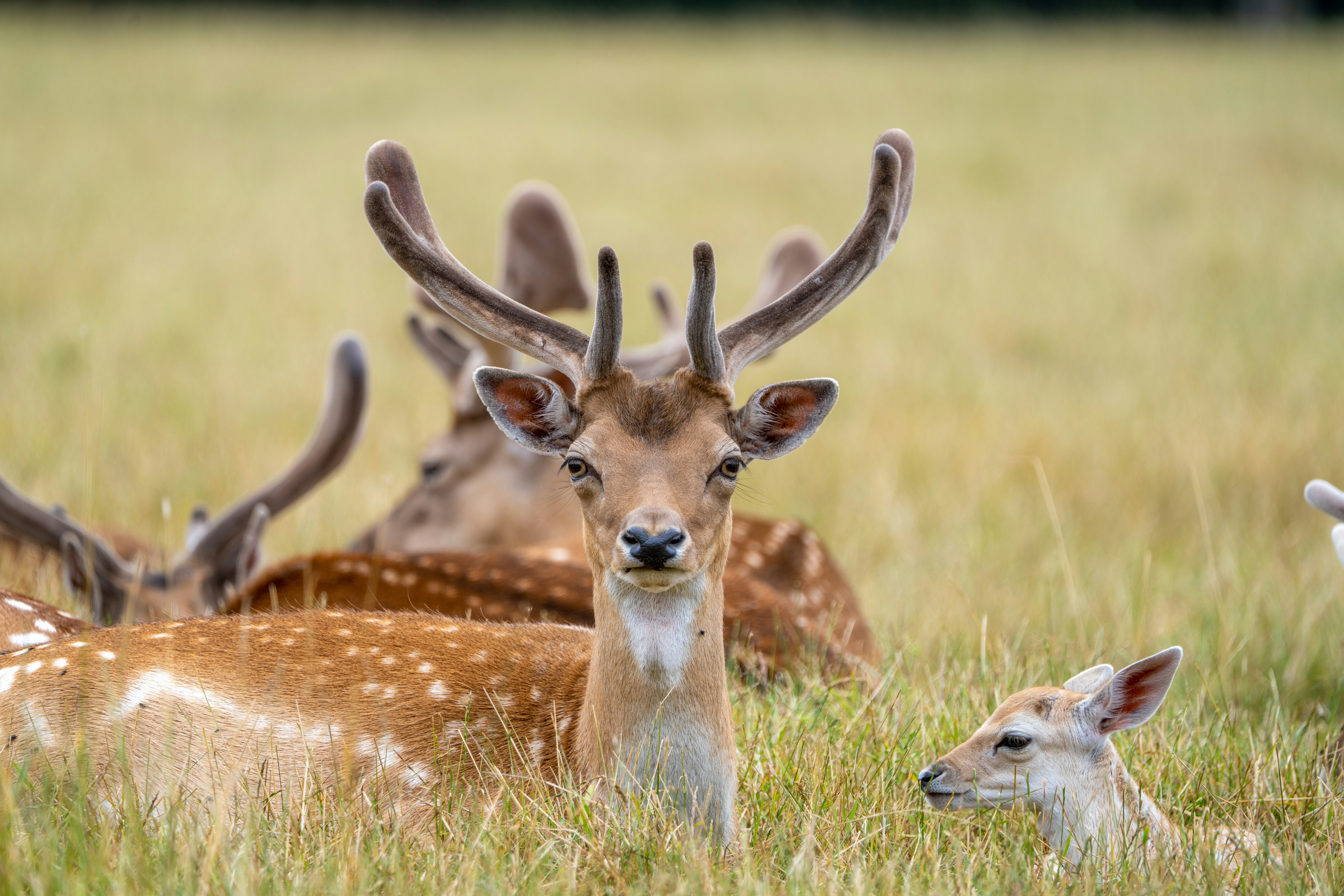 Photo by ronan_hello