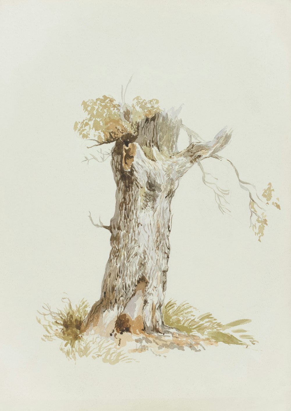 a drawing of a tree with a bird perched on top of it