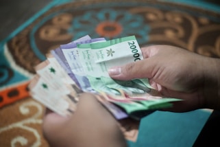 a person holding a bunch of money in their hand
