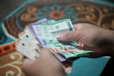 a person holding a bunch of money in their hand