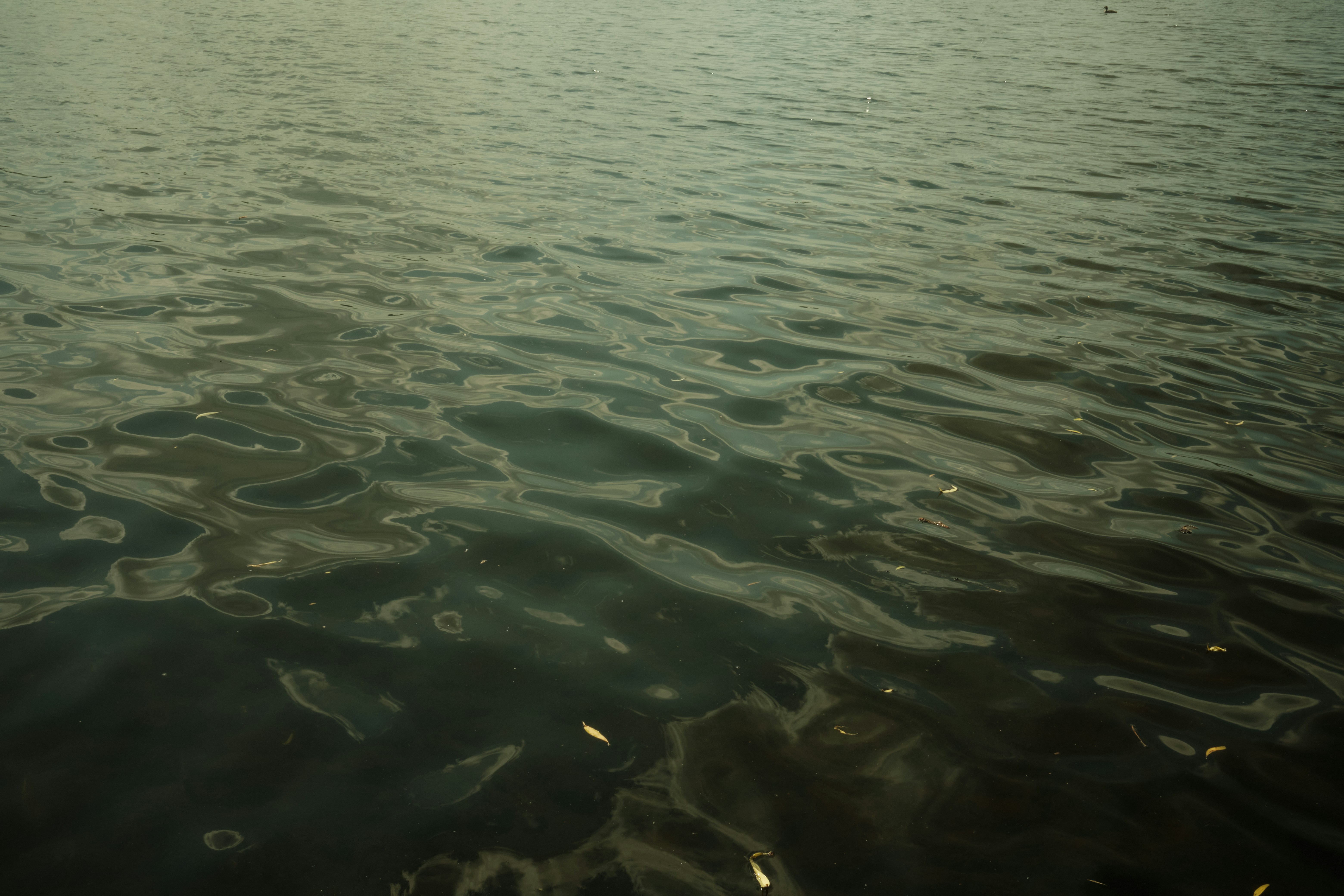 a large body of water with a sky in the background
