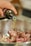 A hand is pouring oil from a dark bottle into a bowl containing raw meat pieces.