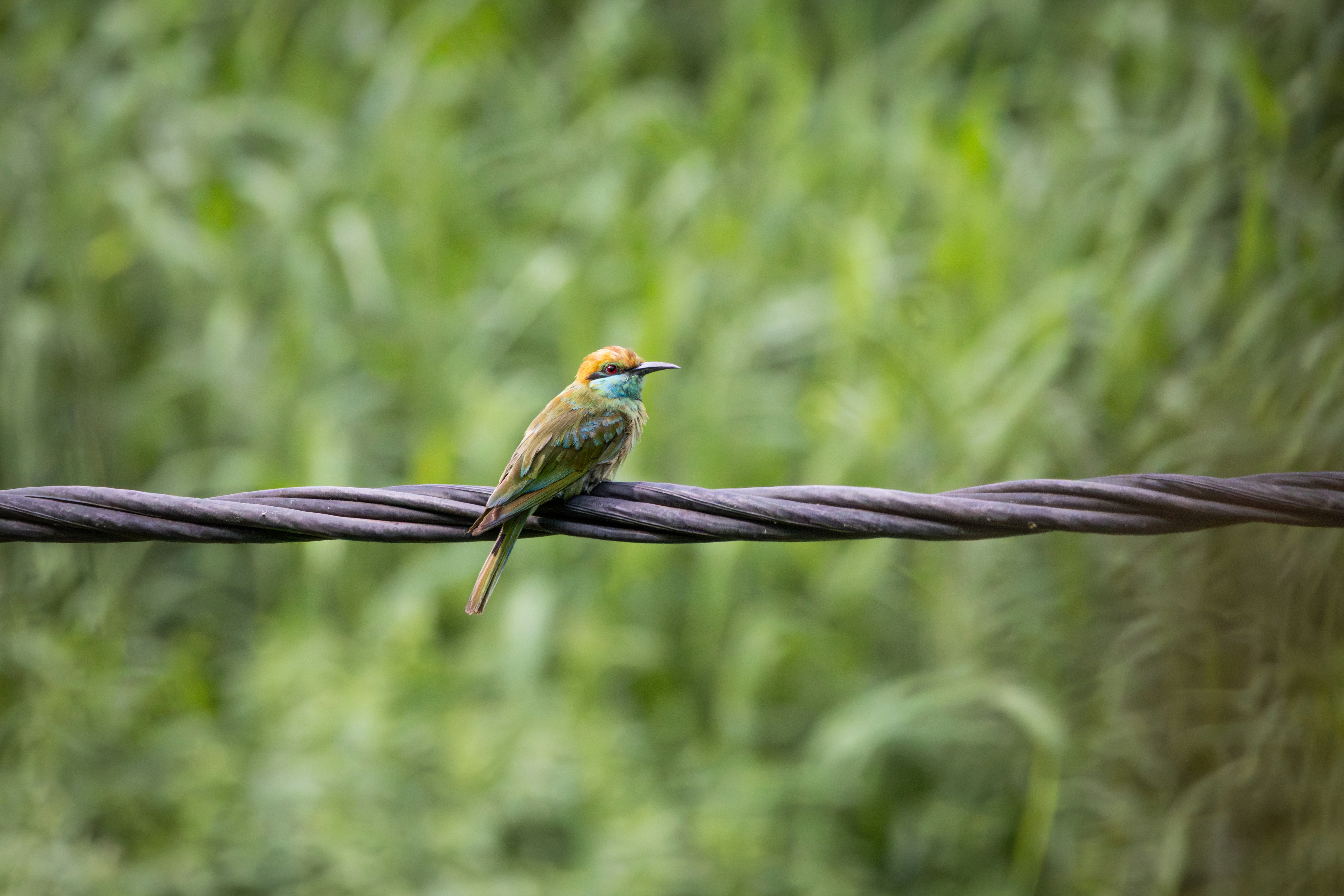 Photo by sameer_srivastava