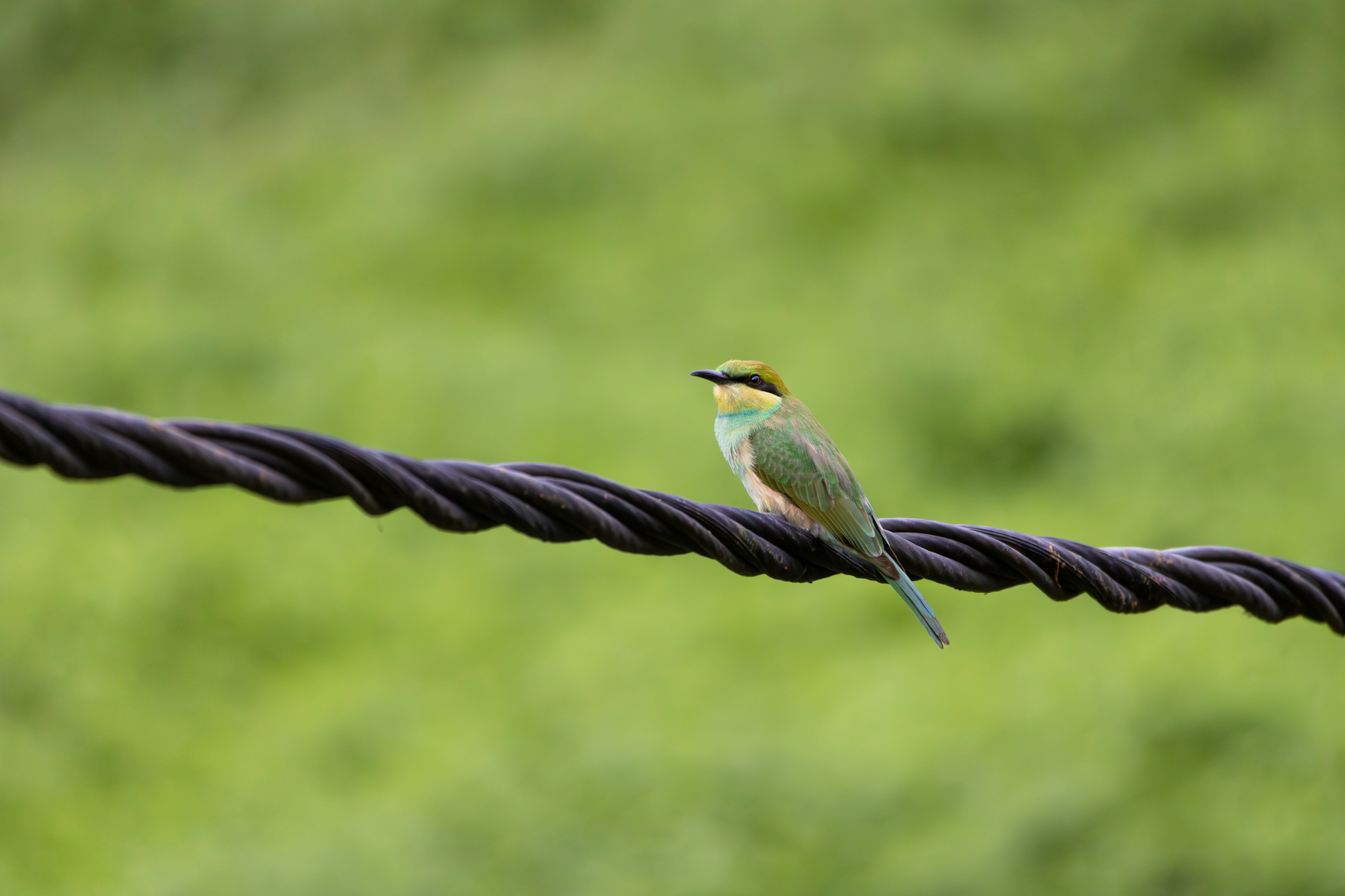 Photo by sameer_srivastava