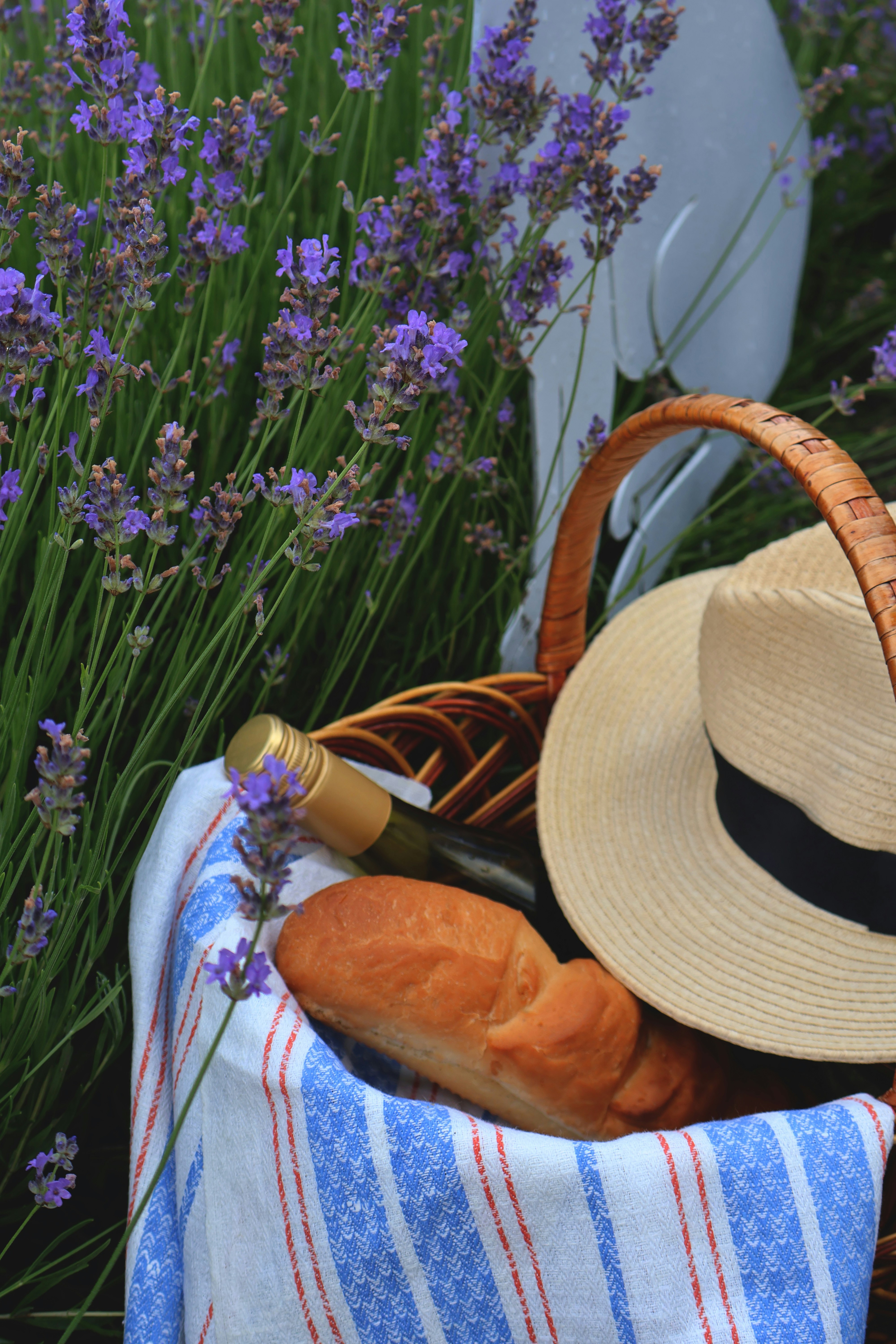 Photo by anyutakejbalo