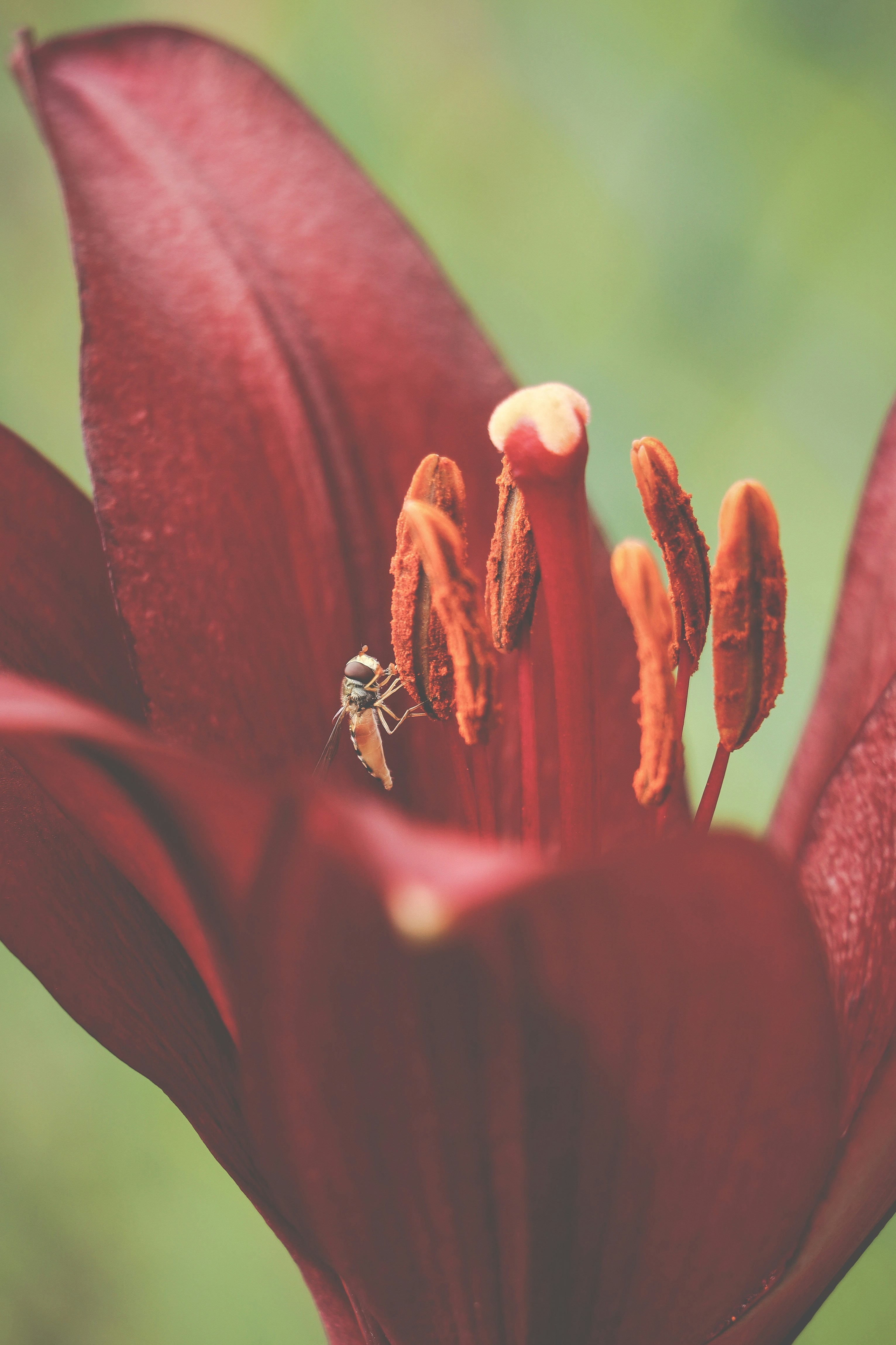 Photo by greenmood