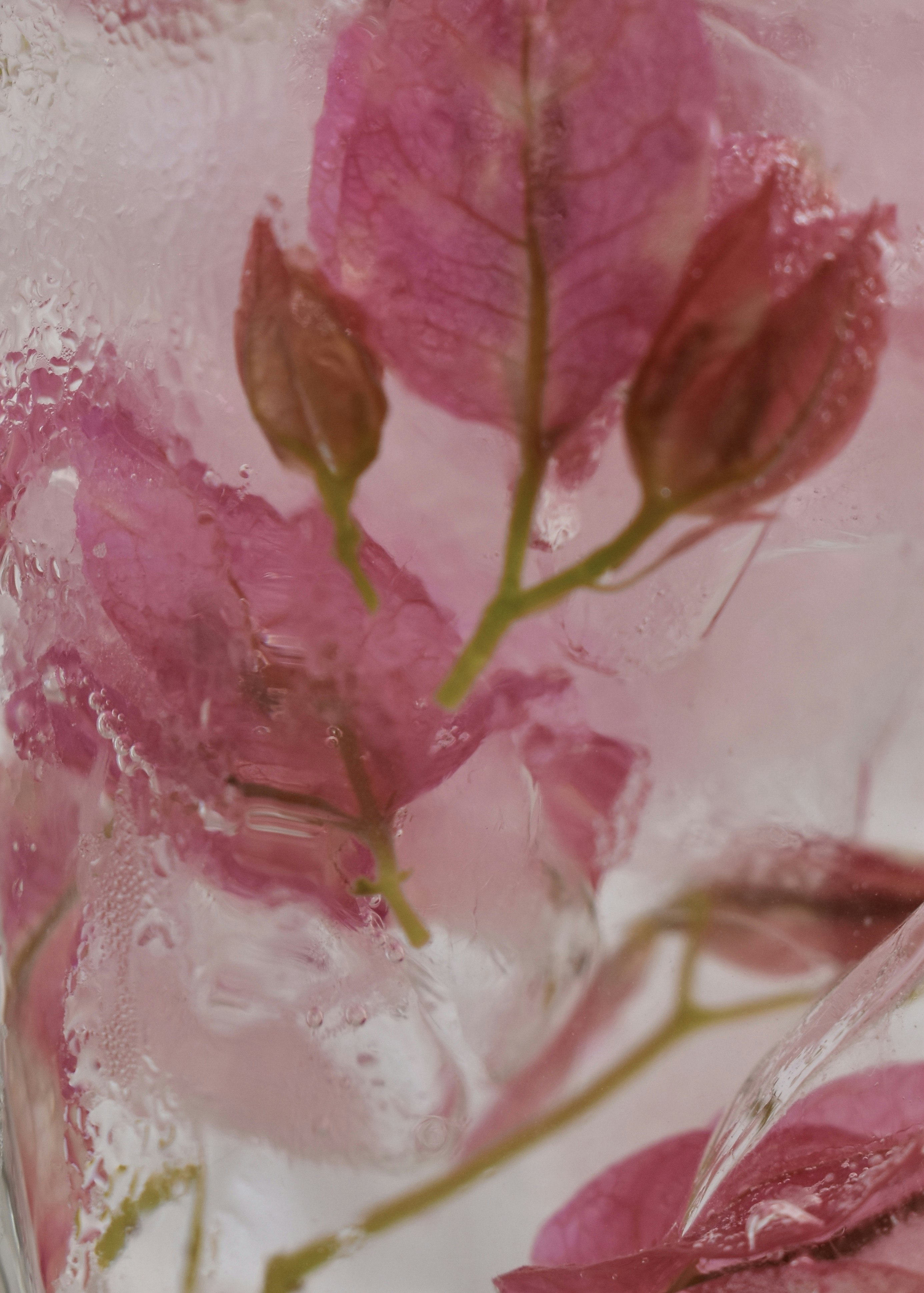 Photo by xeniagerose