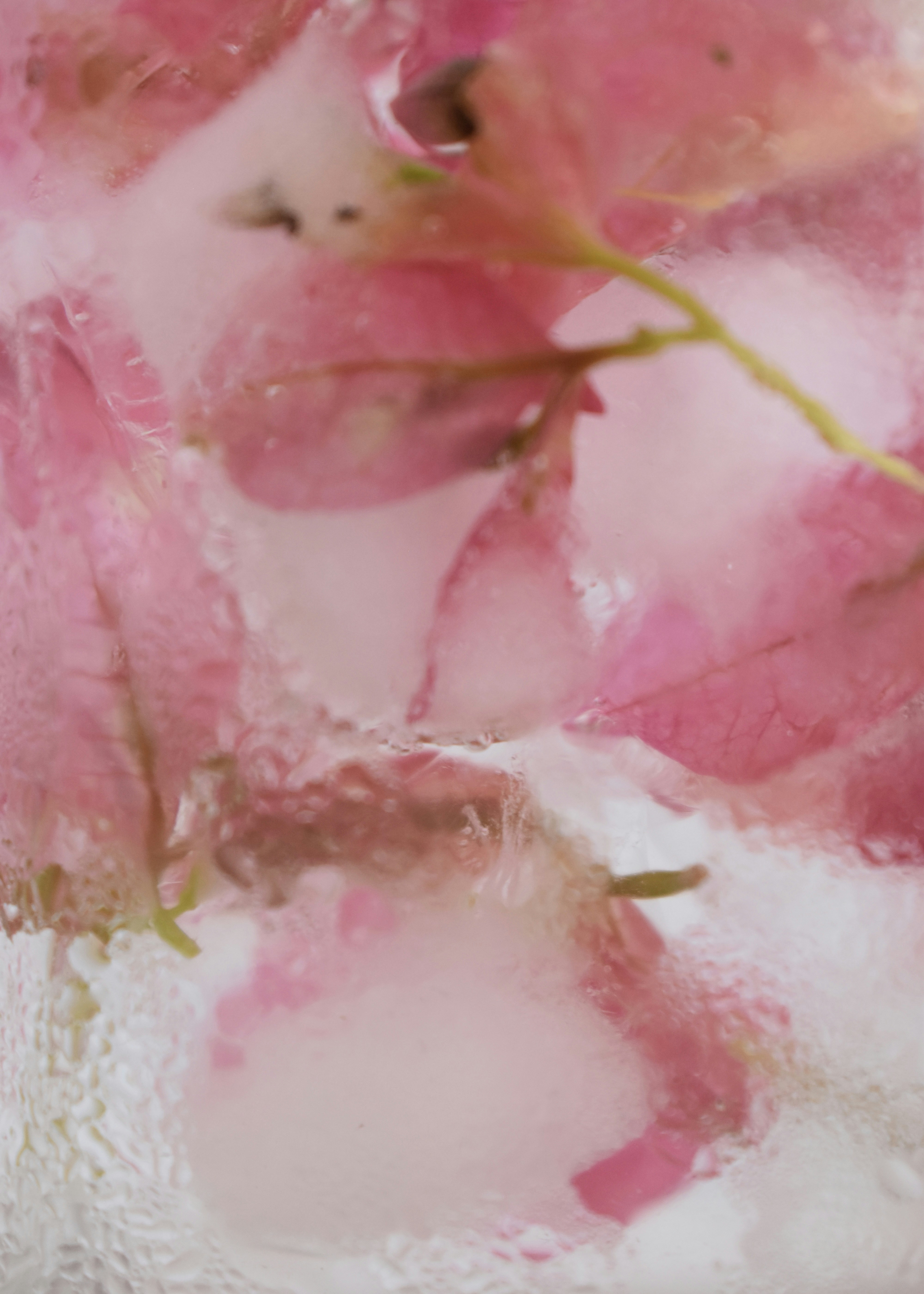 Photo by xeniagerose