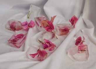 Several ice cubes containing pink flowers are scattered on a white, textured fabric surface. The delicate petals of the flowers are visible within the transparent ice, creating a contrast with the smooth, flowing background.