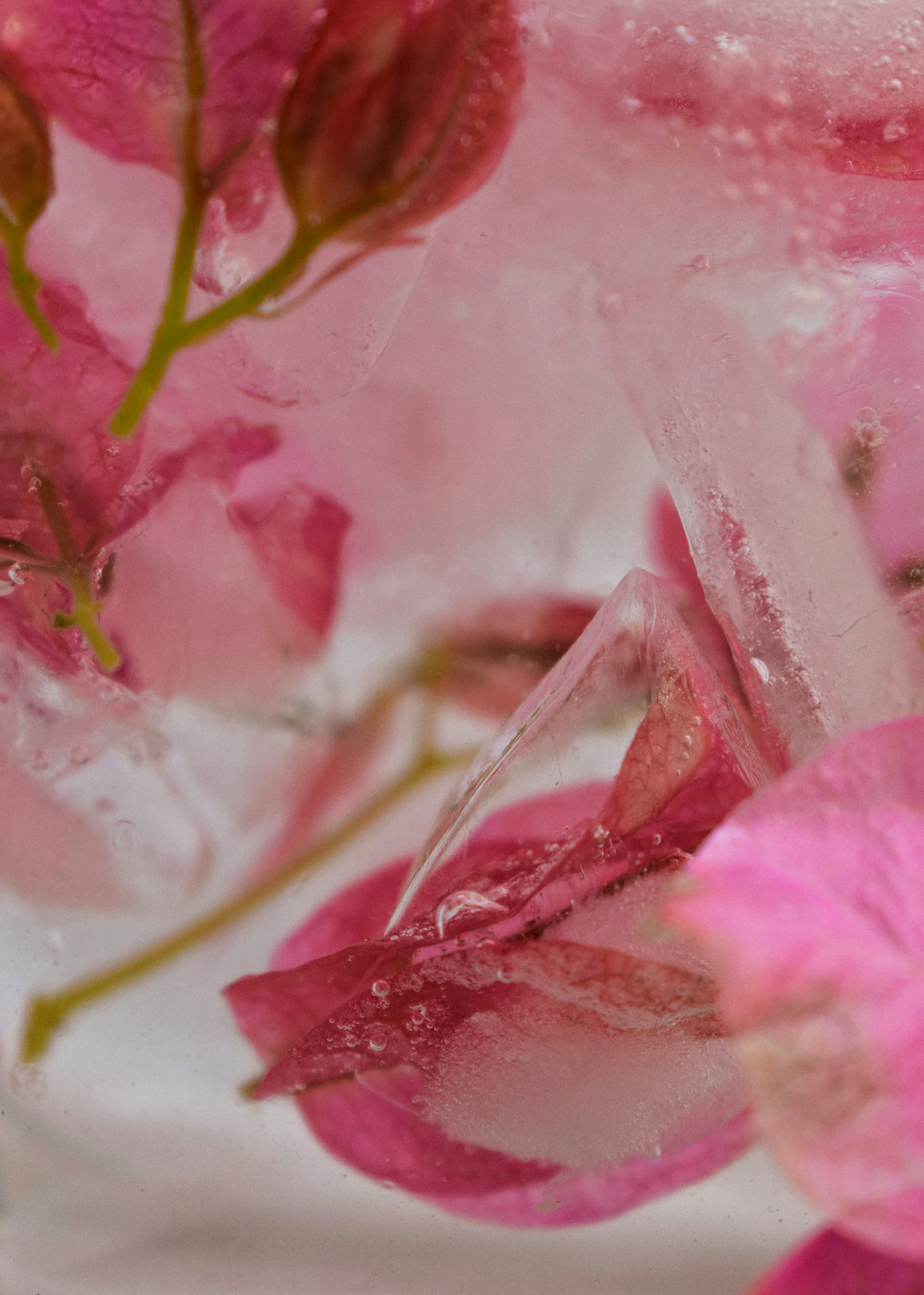 Photo by xeniagerose