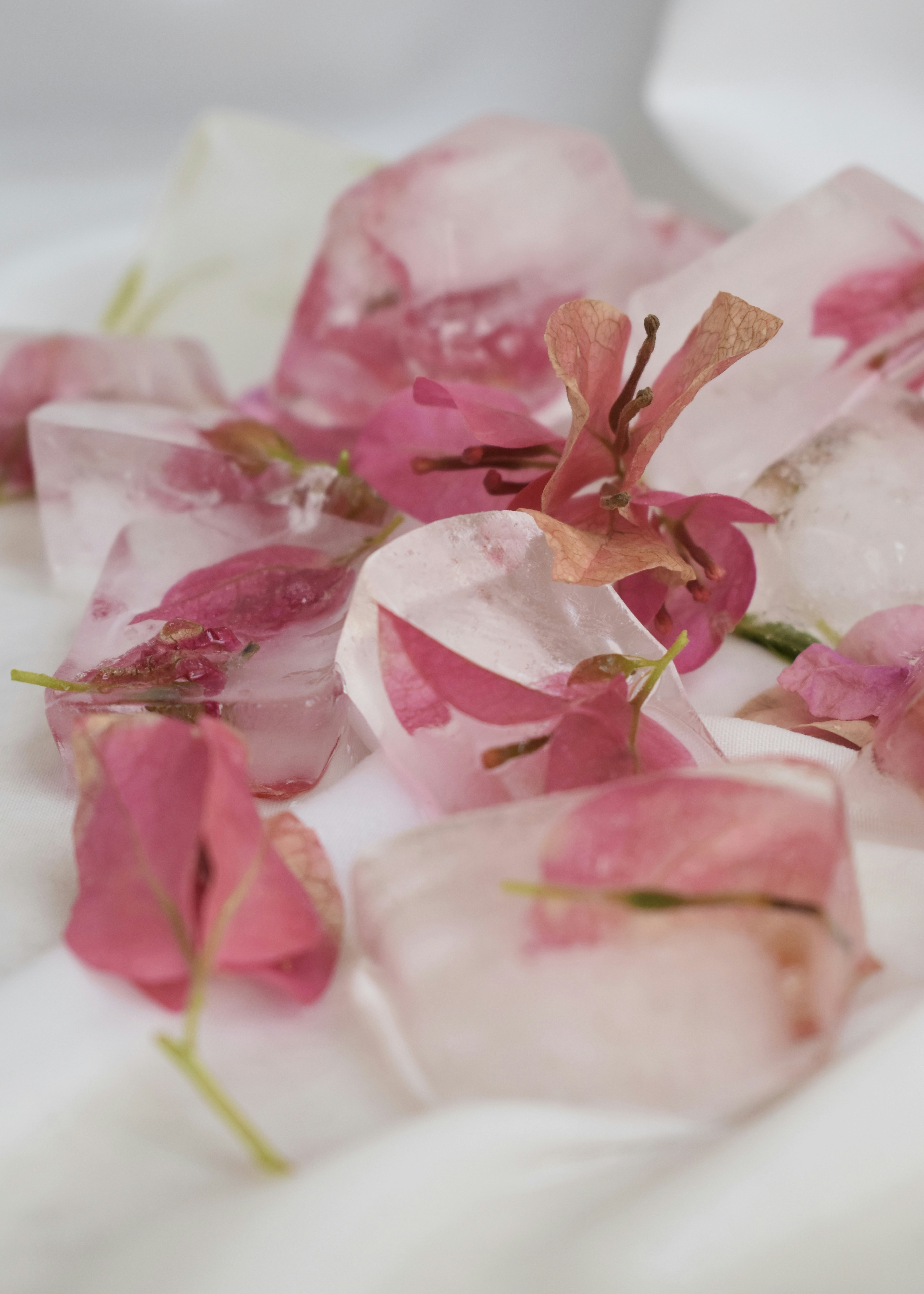 Photo by xeniagerose