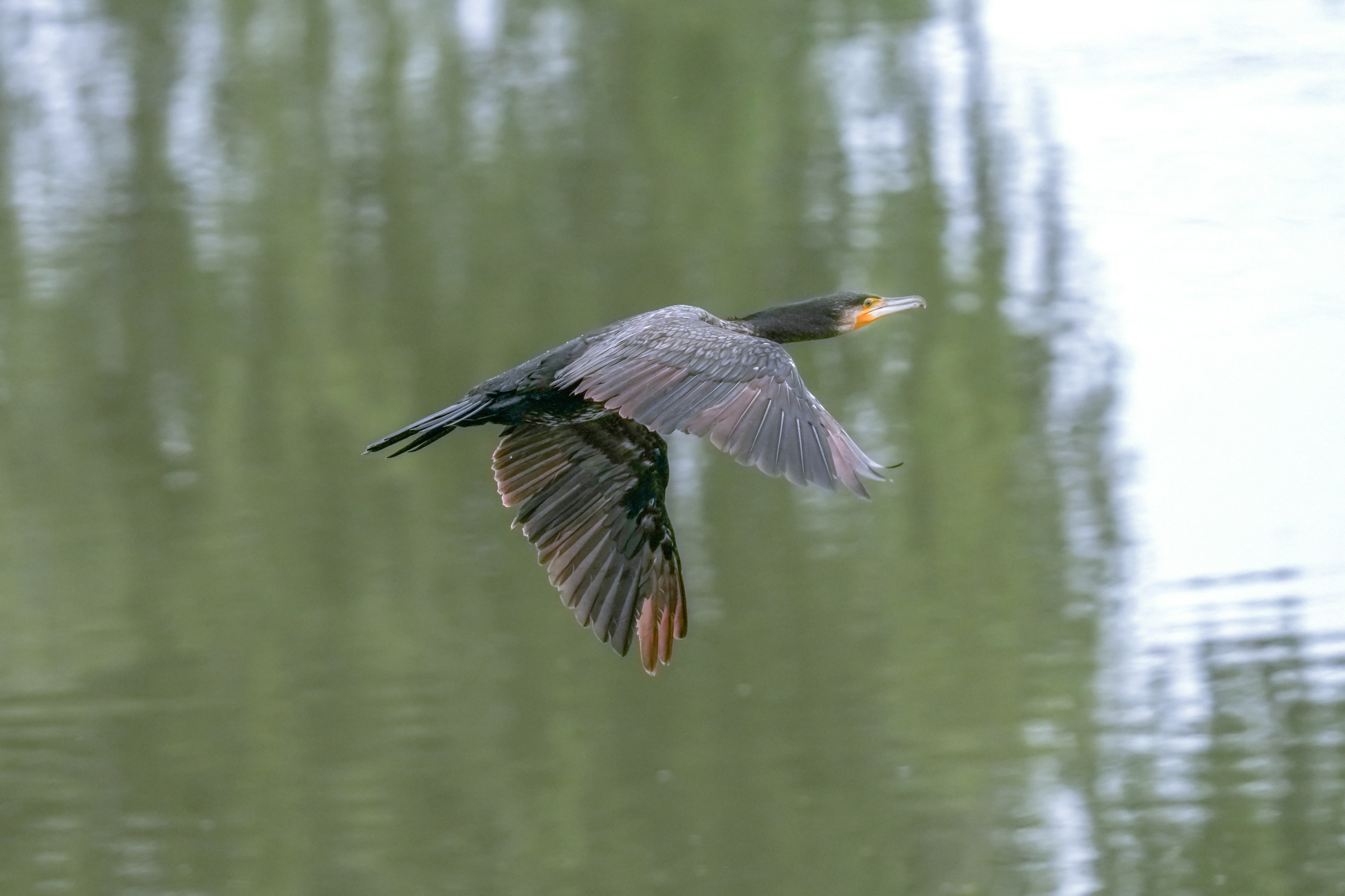 Photo by kim_dae_jeung