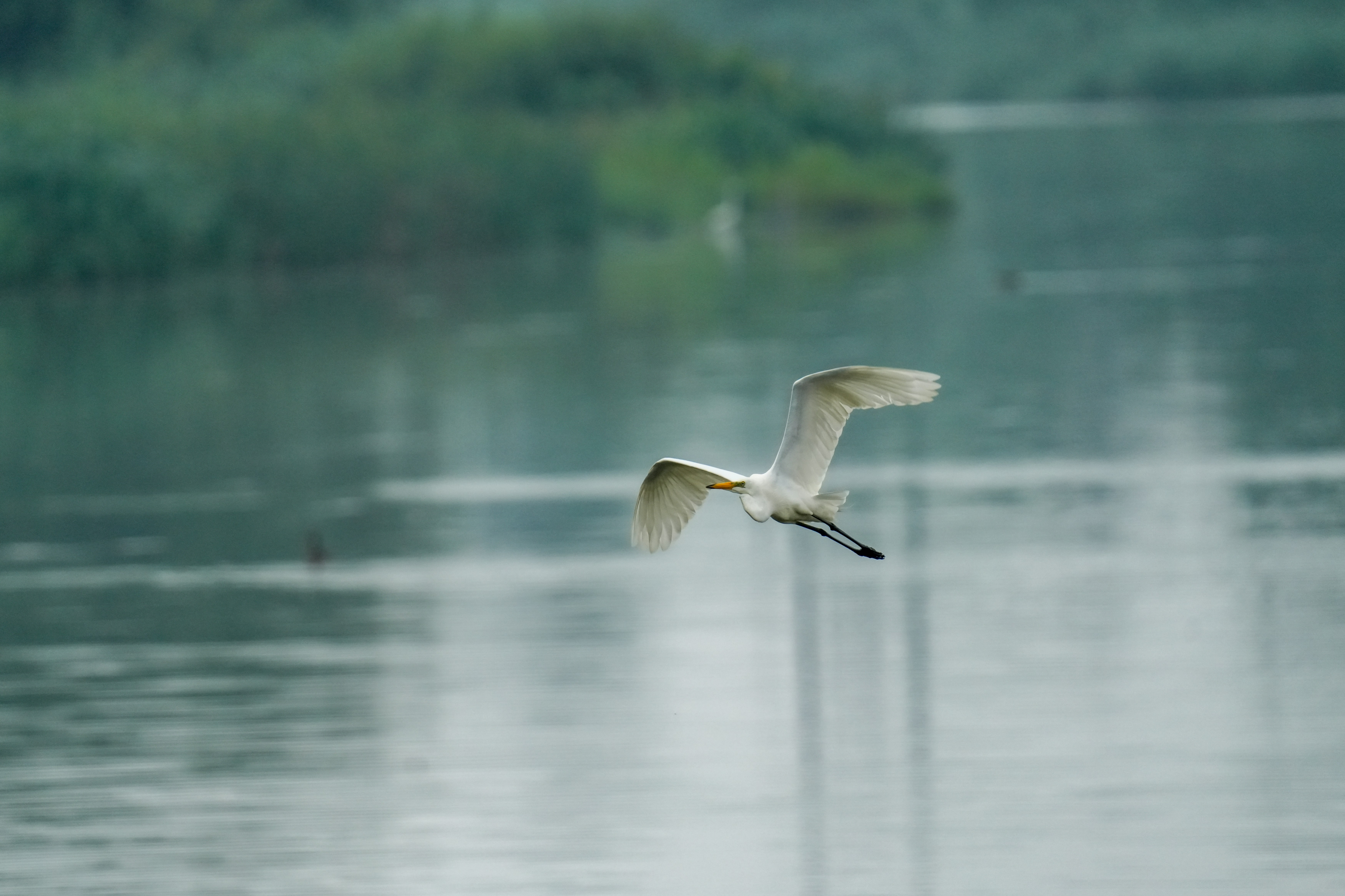 Photo by kim_dae_jeung