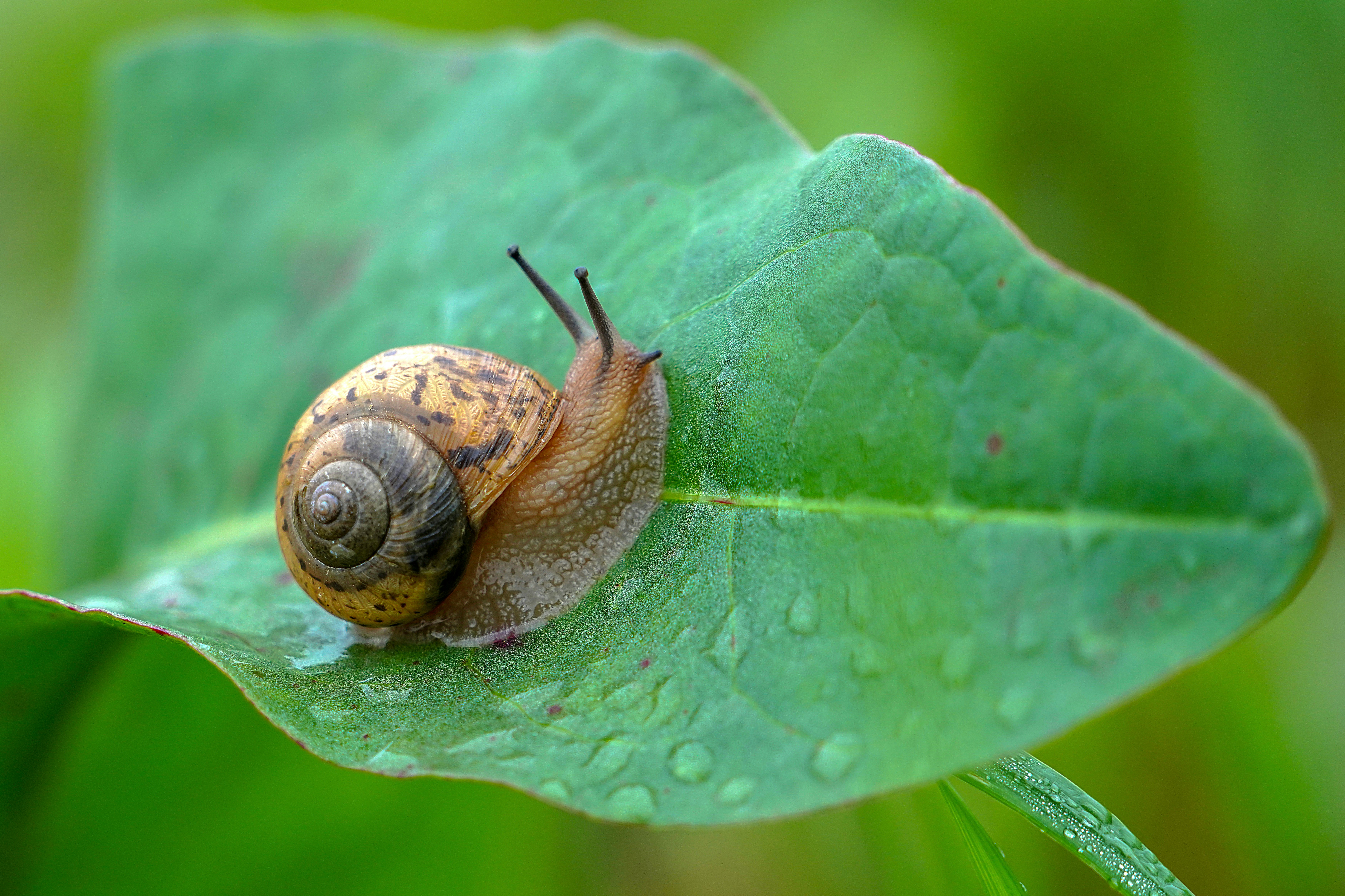 Photo by kim_dae_jeung