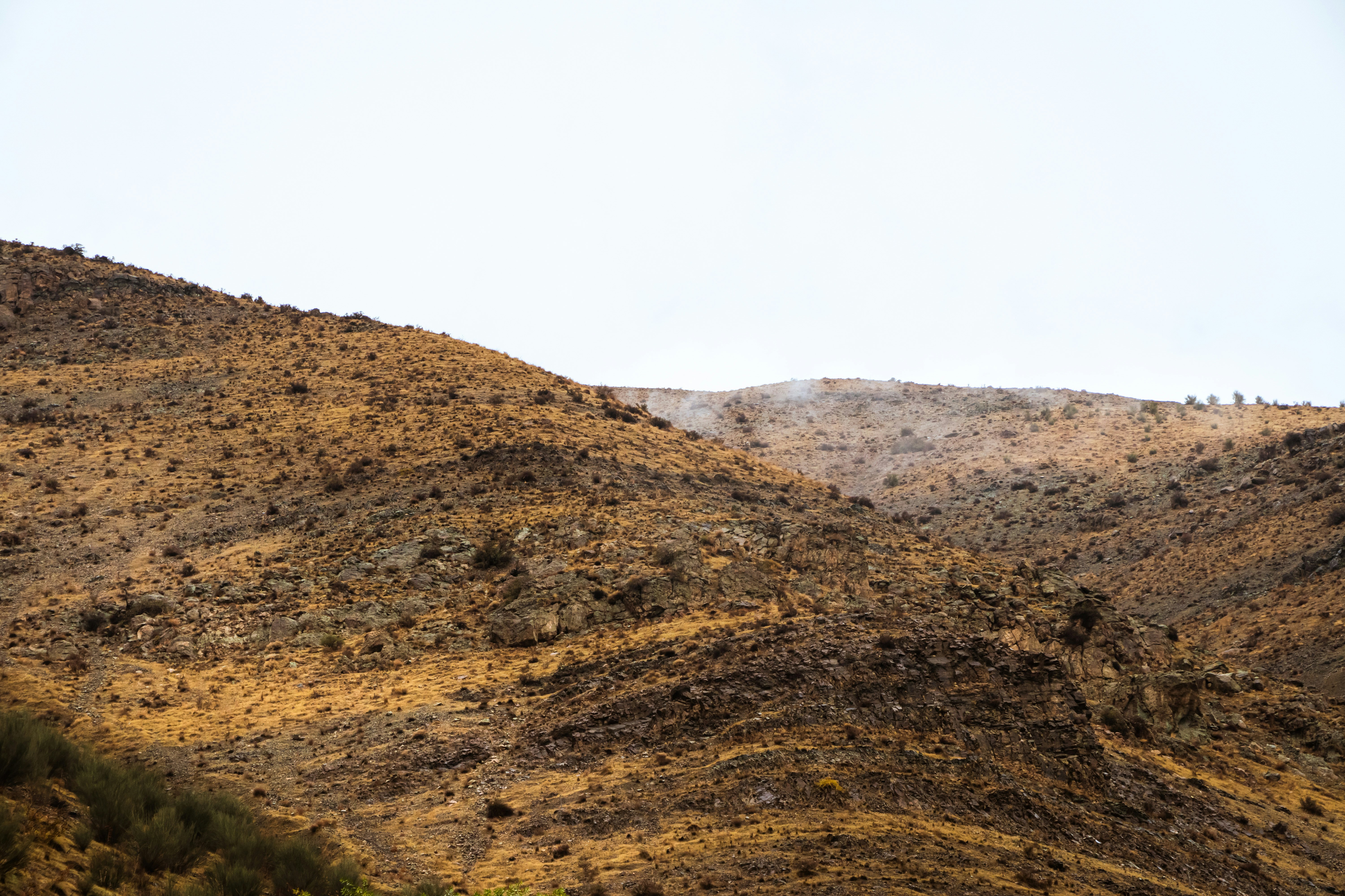 Photo by naturescapegallery