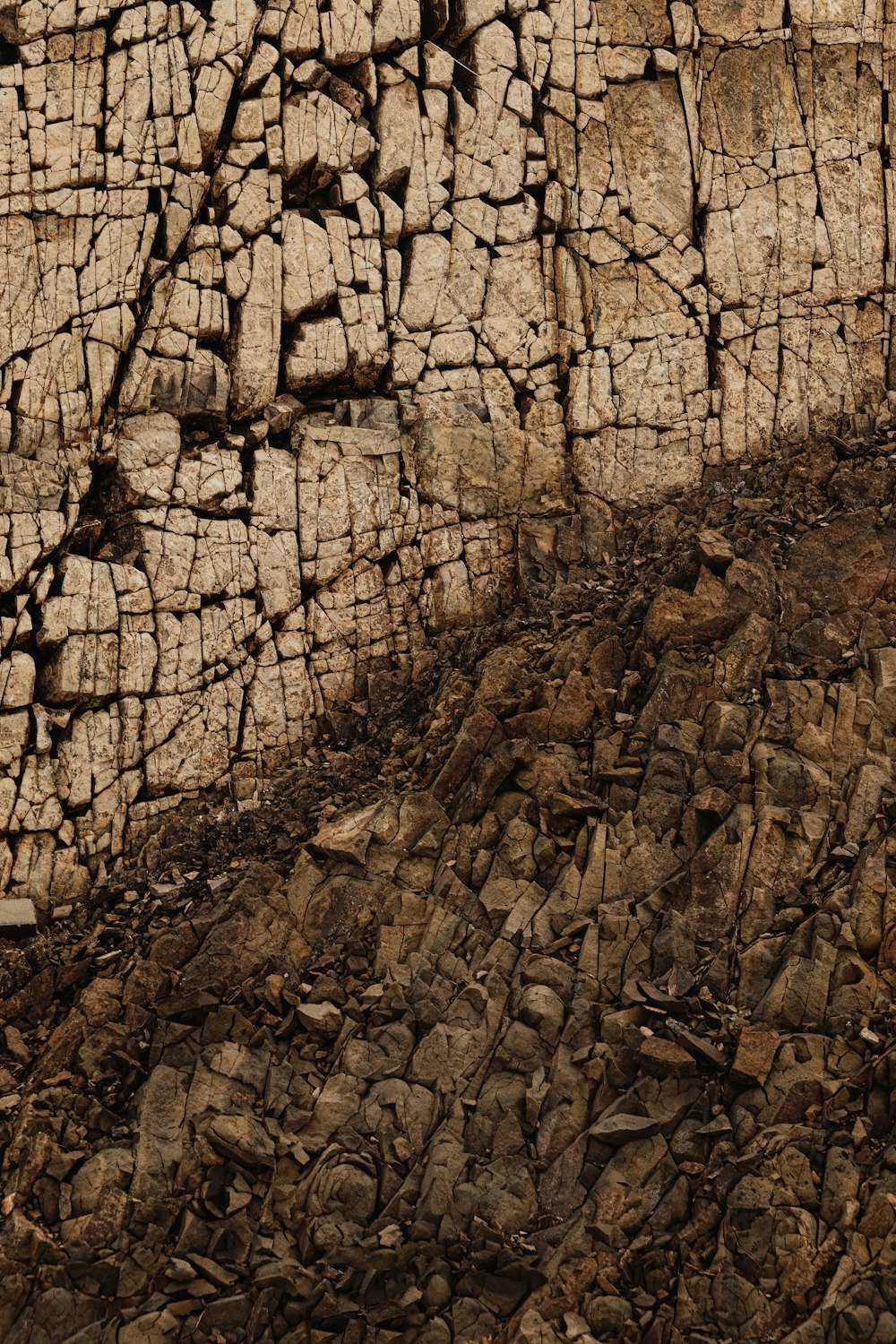 a sheep is standing in the dirt near a rock wall