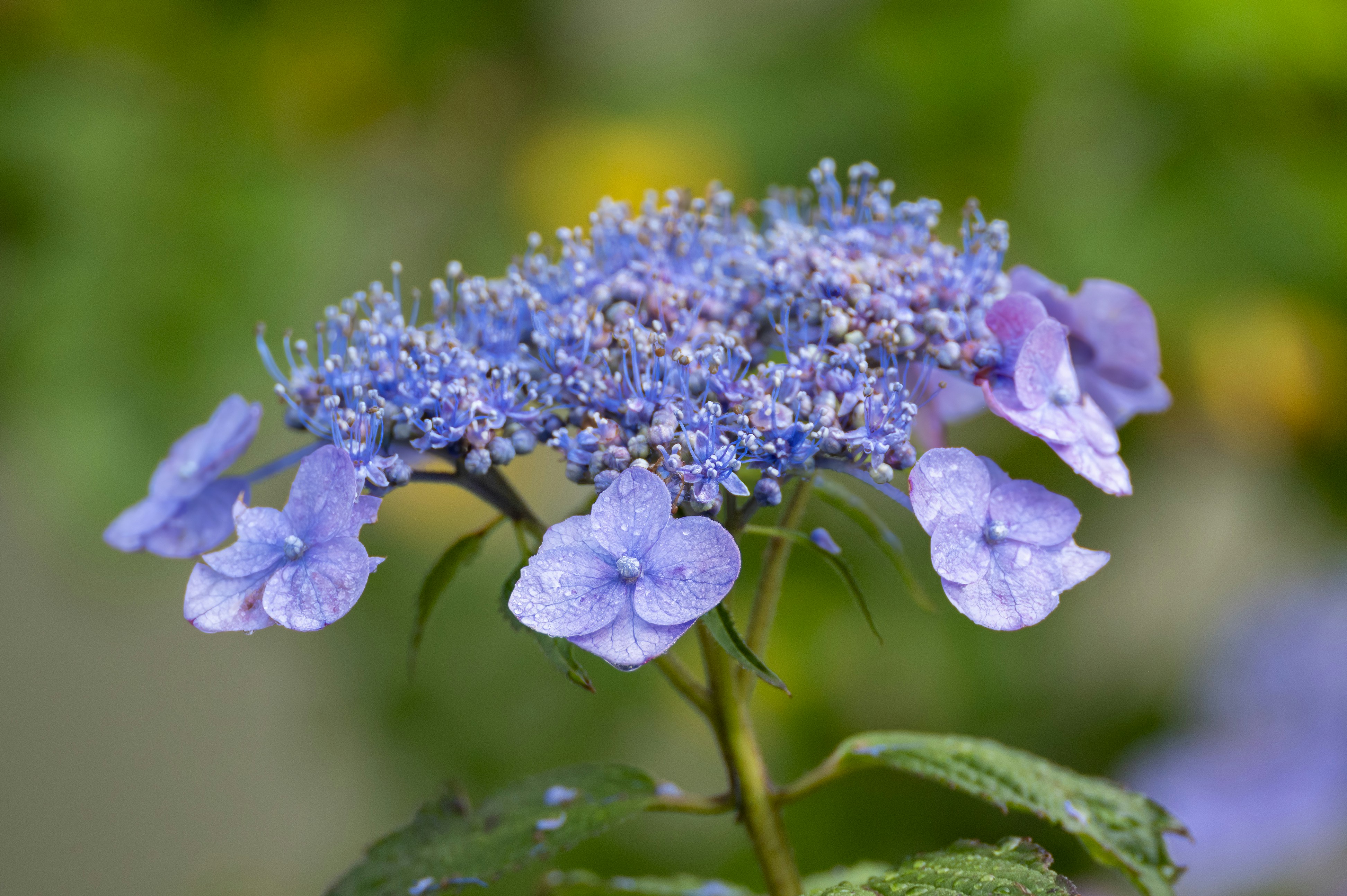 Photo by cholewinski