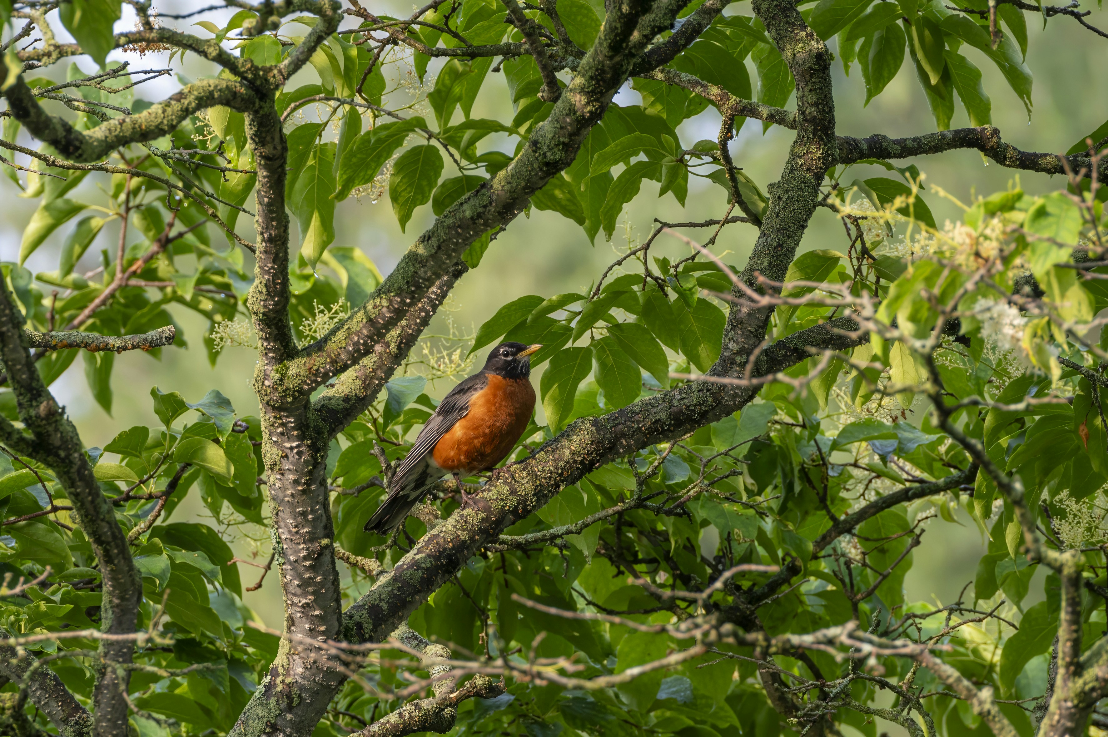 Photo by cholewinski