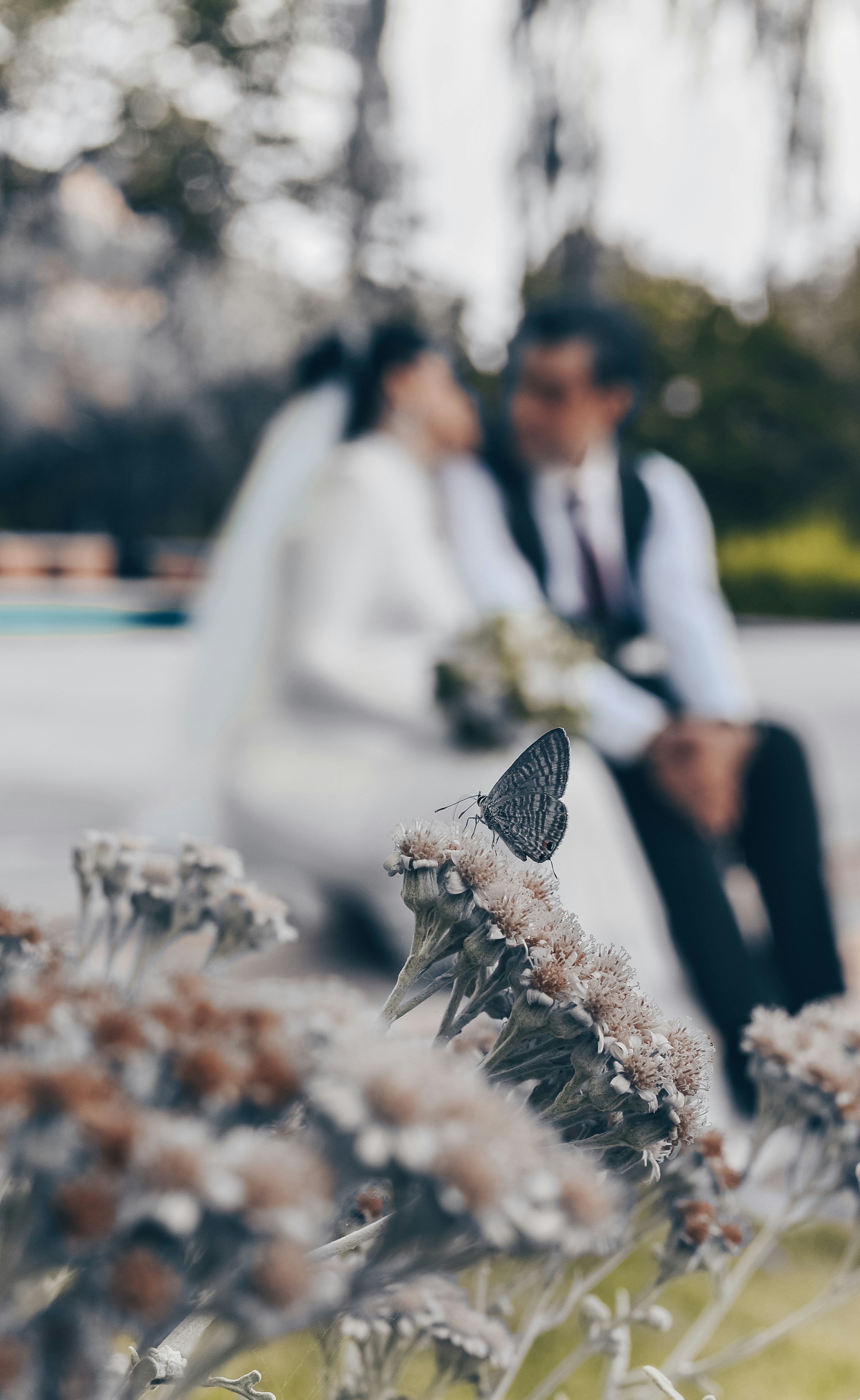 Photo by nasimkeshmiri