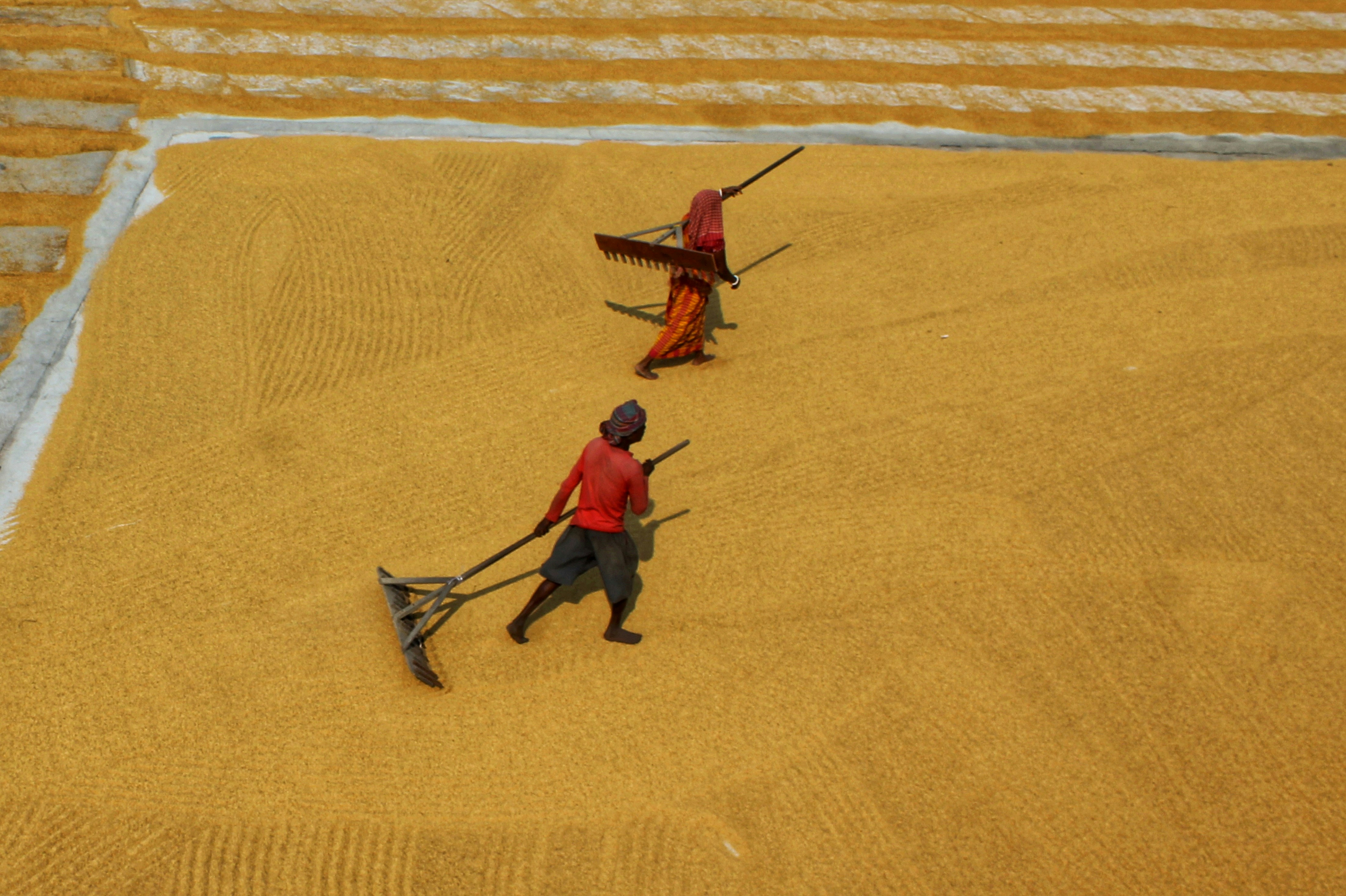 Photo by dibakar16roy