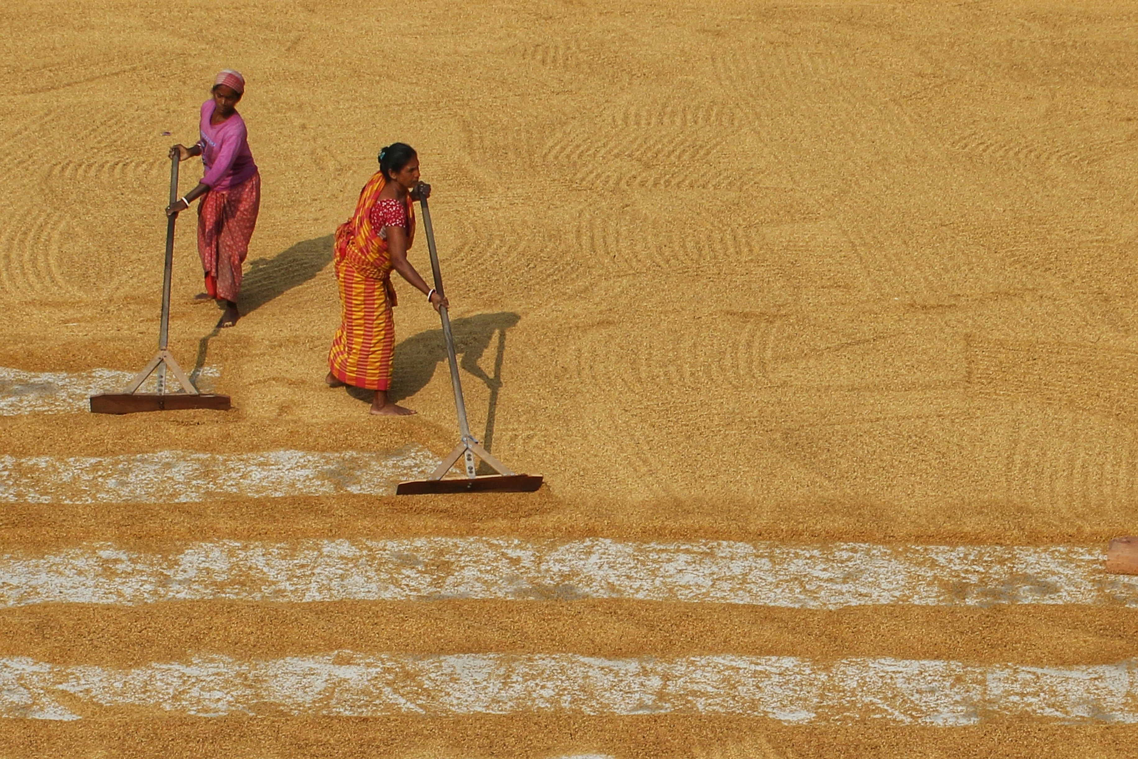 two women are cleaning the dirt with brooms