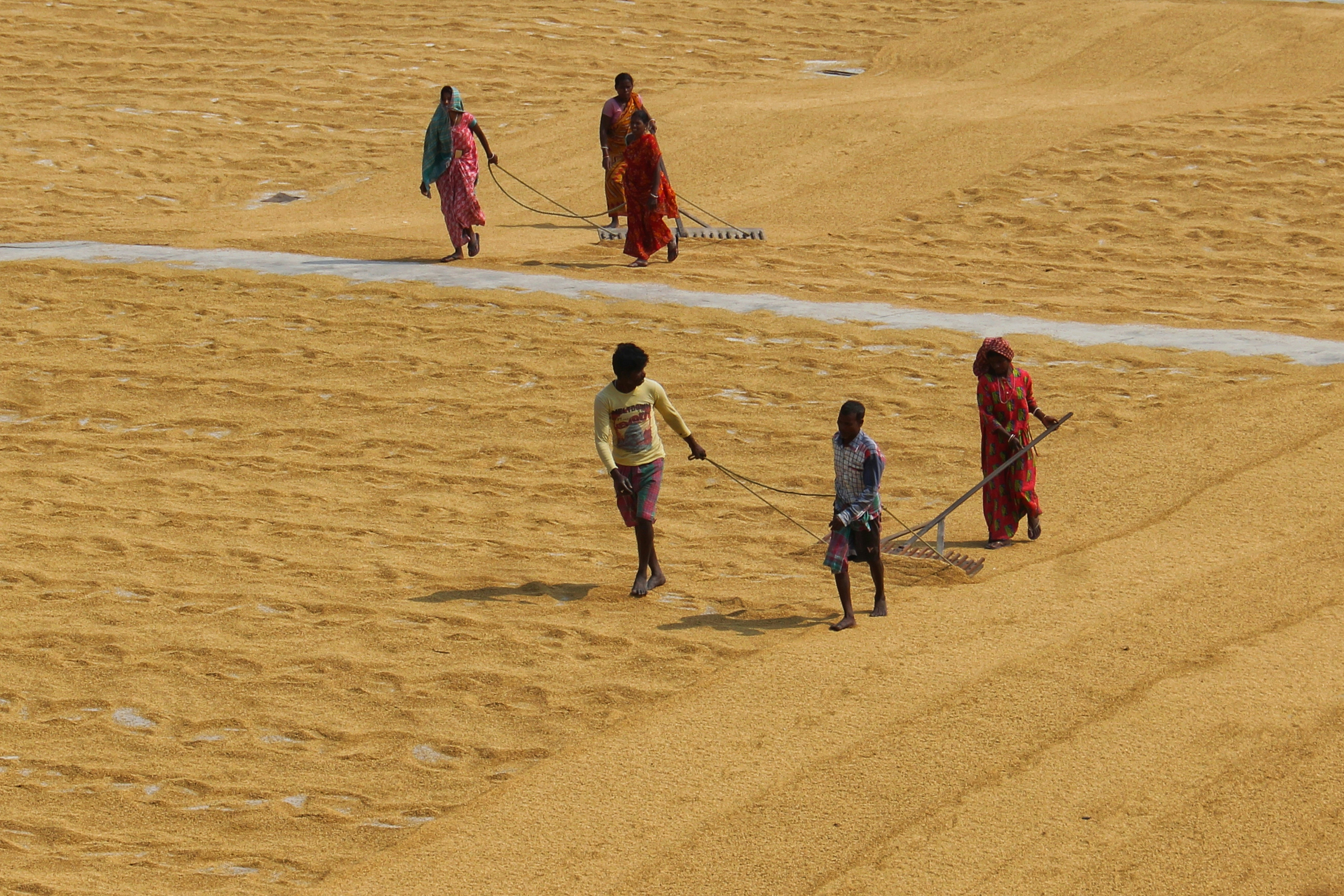 Photo by dibakar16roy