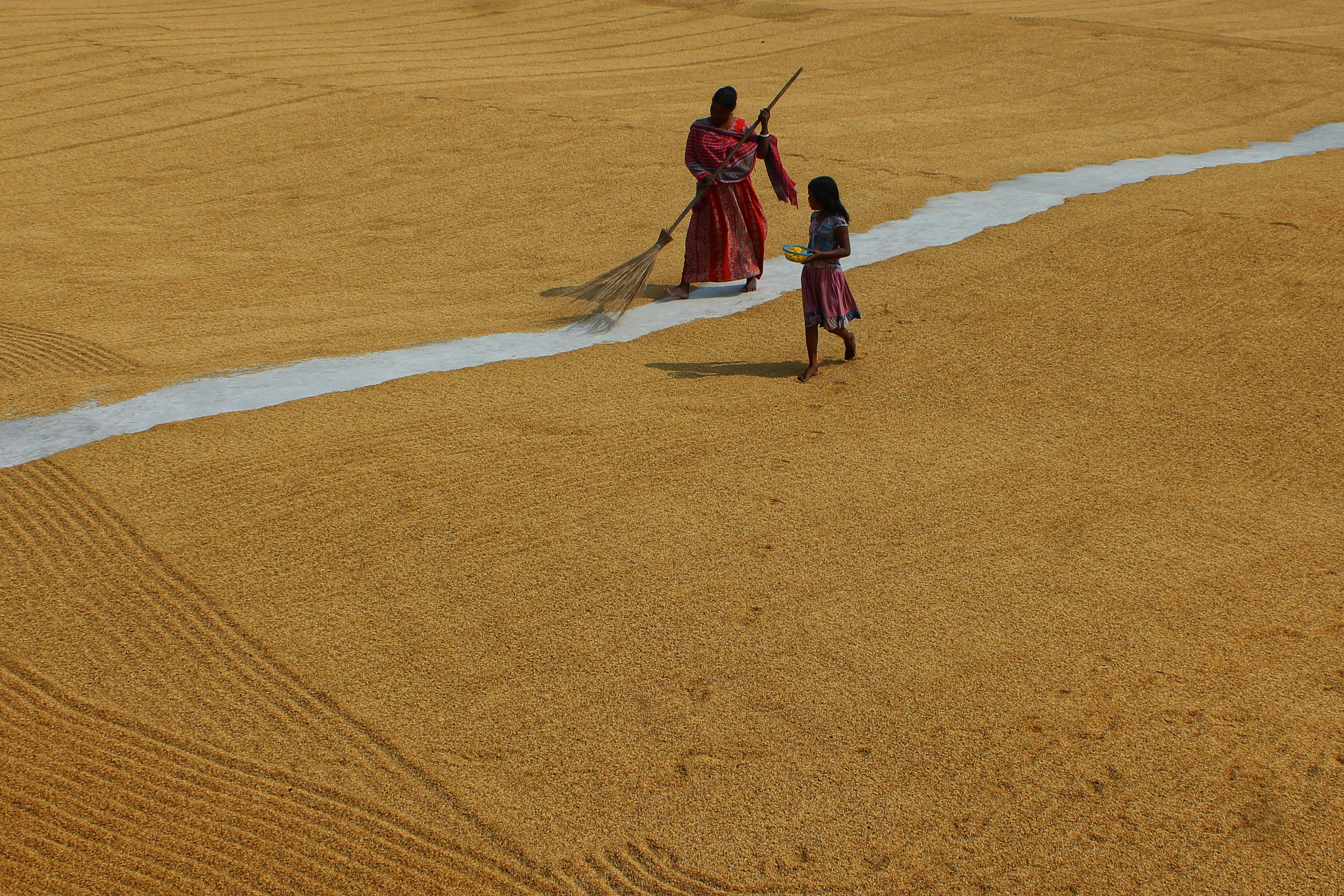 Photo by dibakar16roy