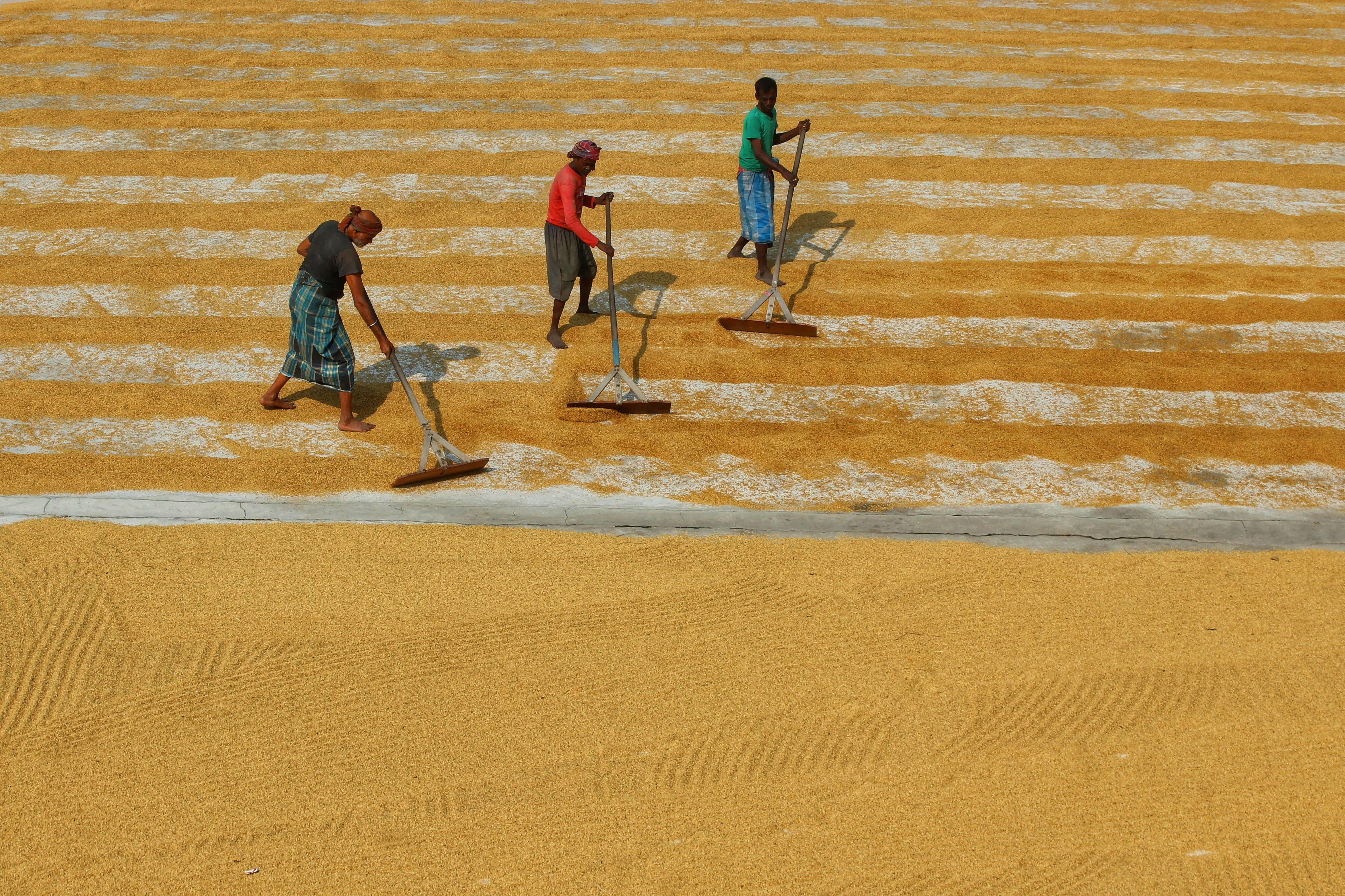 Photo by dibakar16roy