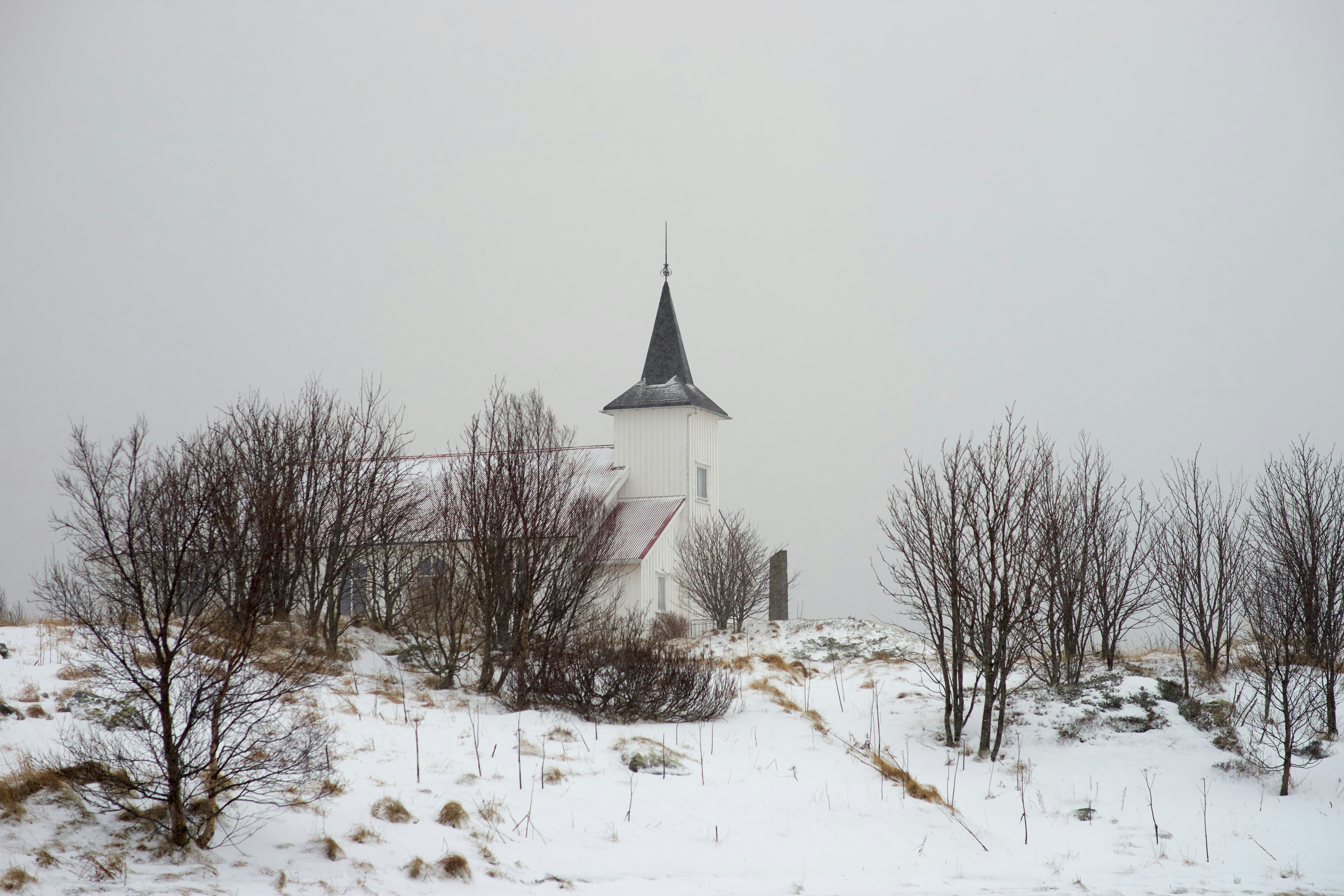 Photo by wolfgang_hasselmann