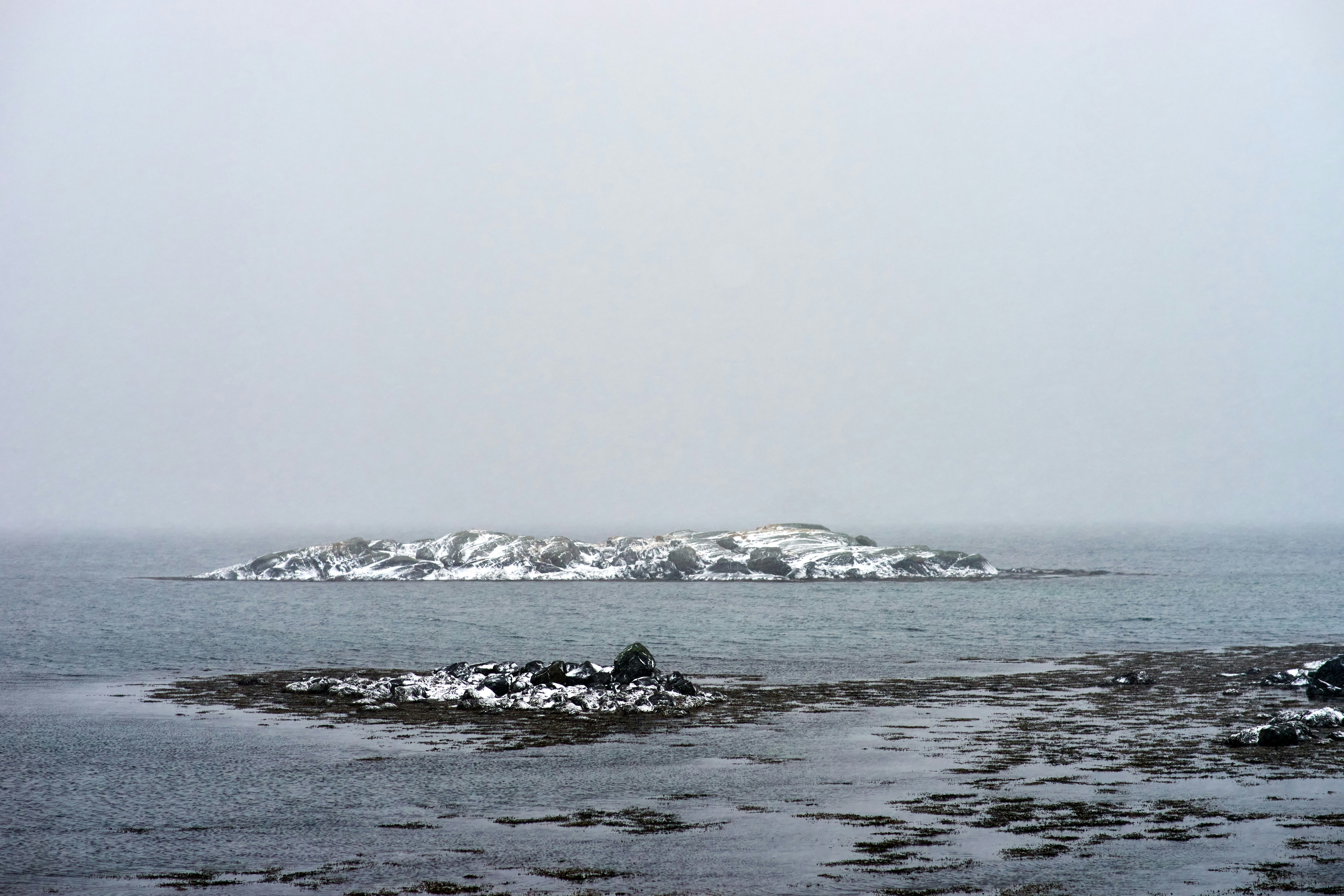 Photo by wolfgang_hasselmann