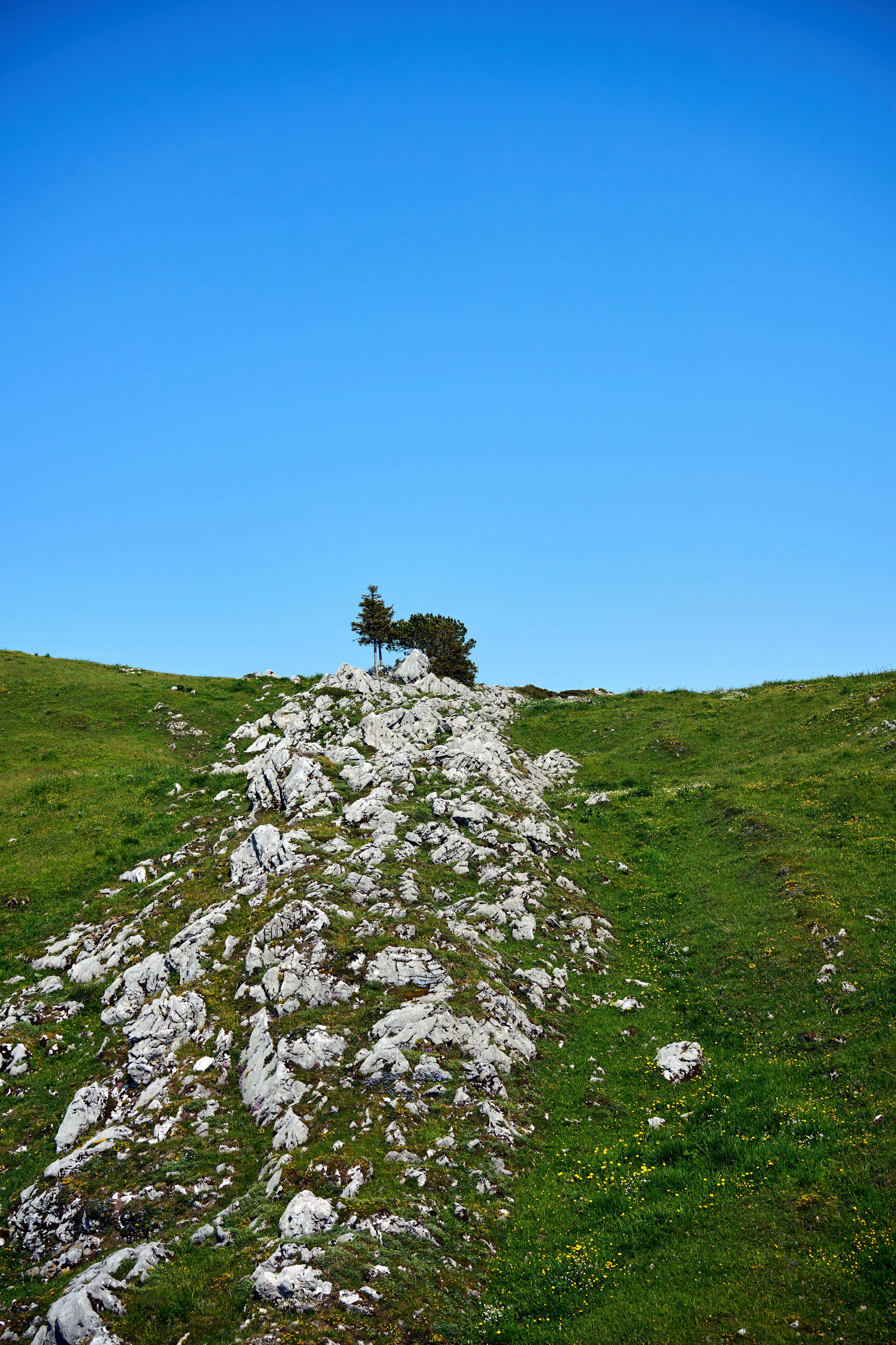 Photo by wolfgang_hasselmann