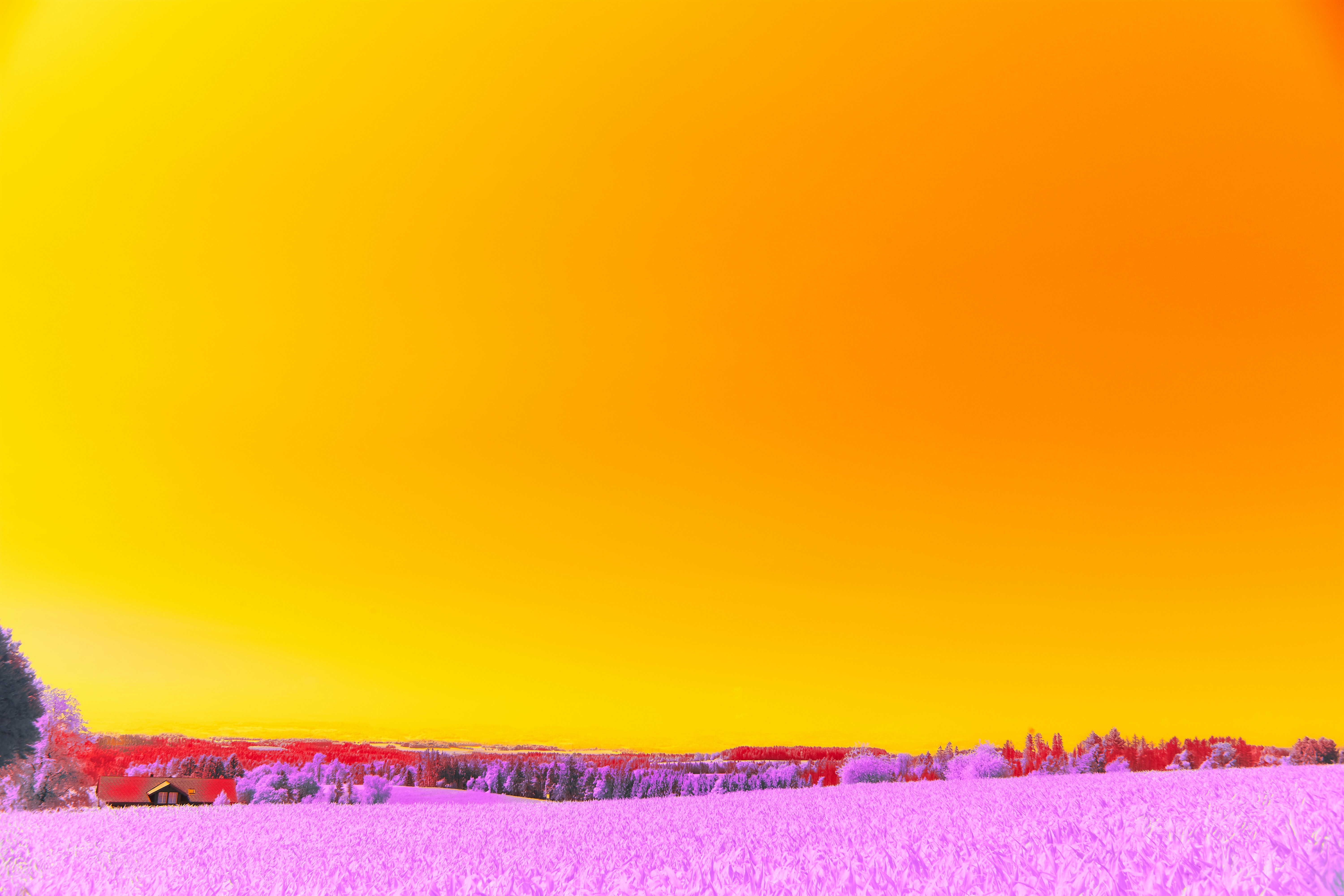 Photo by wolfgang_hasselmann