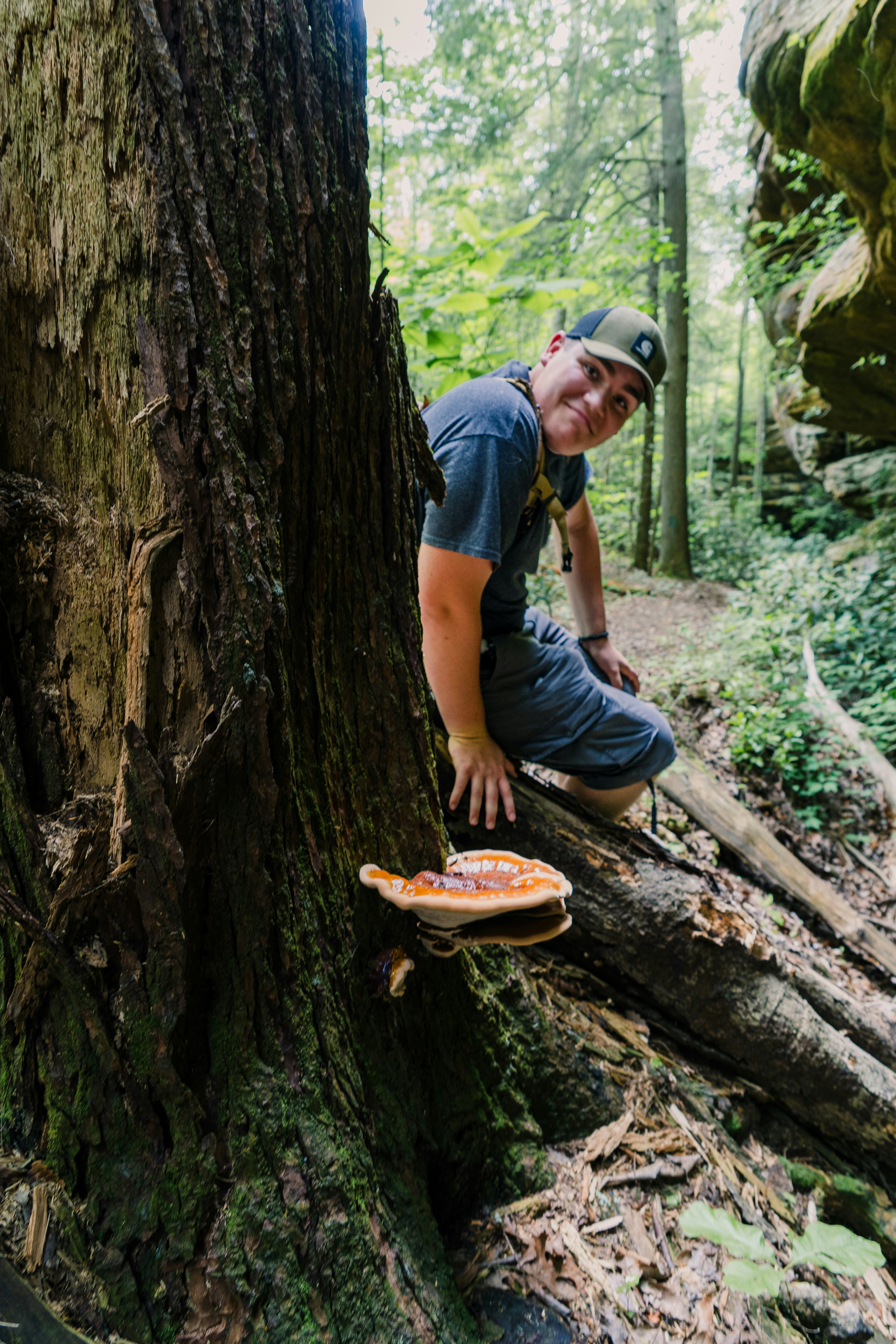 a man sitting on top of a tree in the woods