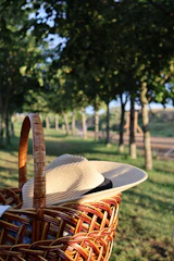 A casual cotton newsboy cap laid on a picnic blanket with sunlight filtering through trees.