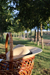 A rustic picnic basket set on a wooden table surrounded by vineyard rows under a sunny sky.