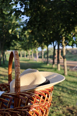A cozy sun hat with a soft fabric texture placed next to a picnic basket under a leafy tree.