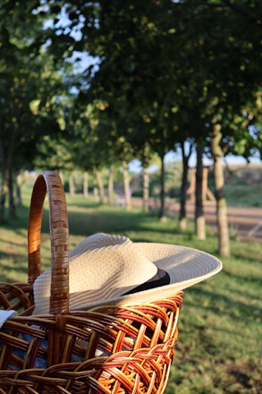 A rustic picnic basket set on a wooden table surrounded by vineyard rows under a sunny sky.